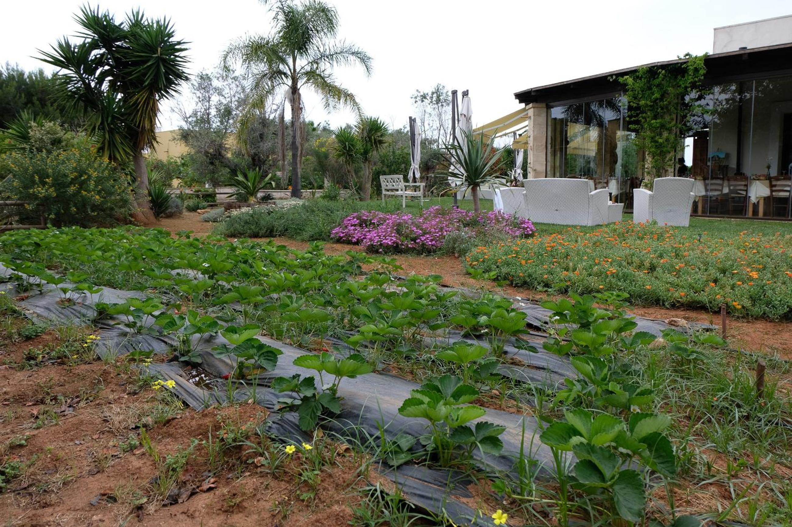 Agriturismo Calamate