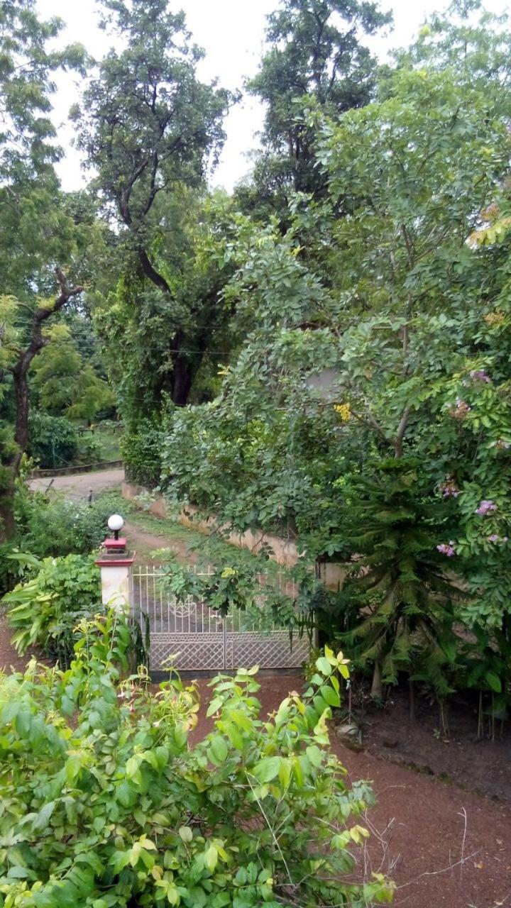 Photo 25