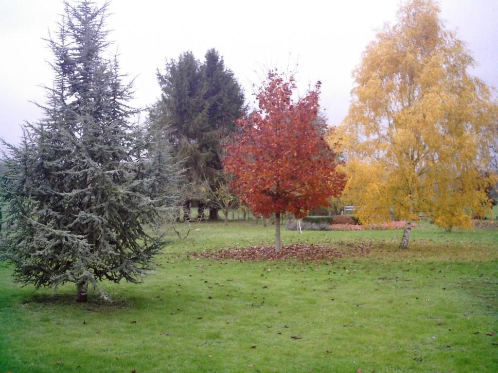 Photo 48