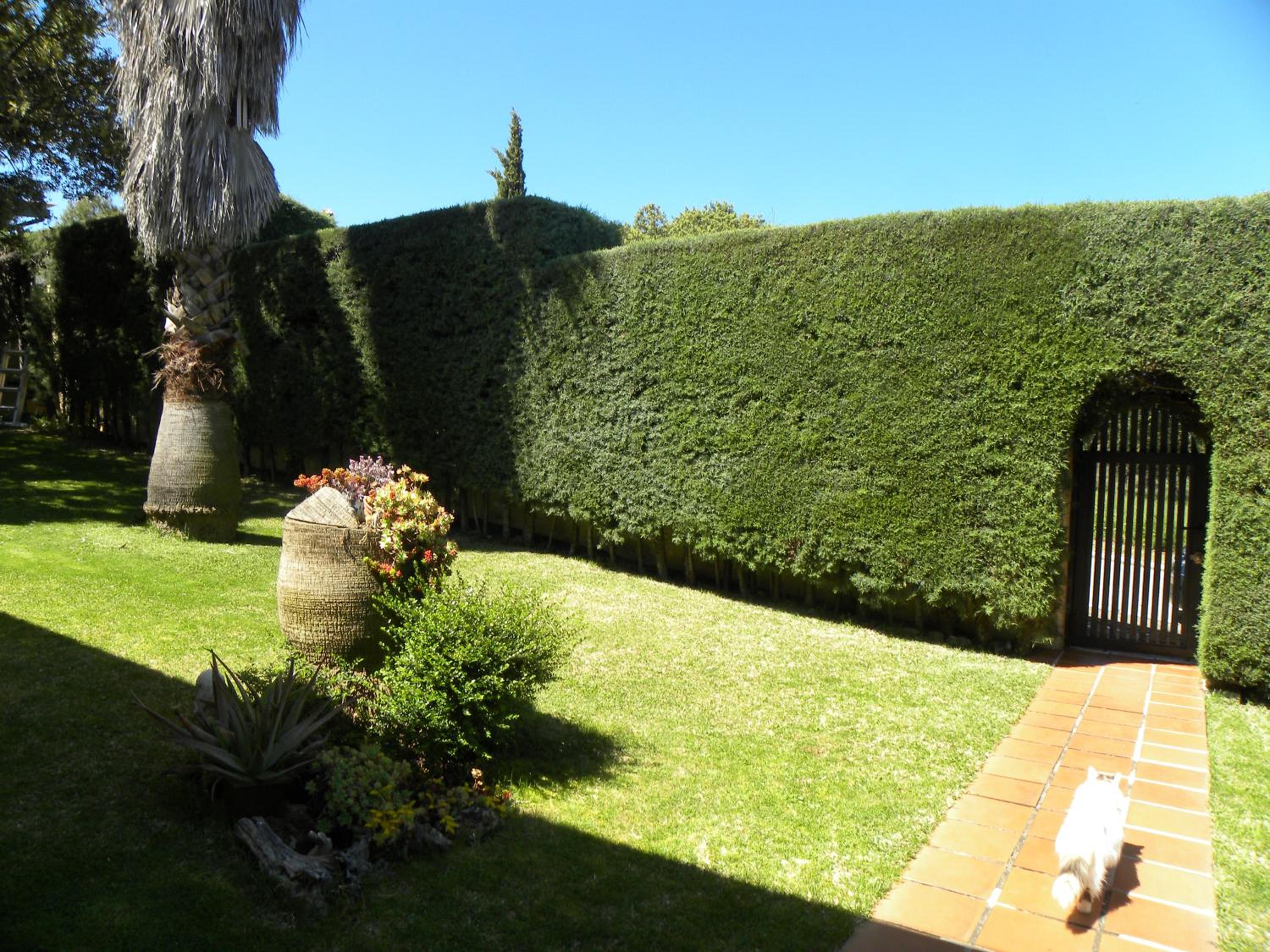 Photo 43