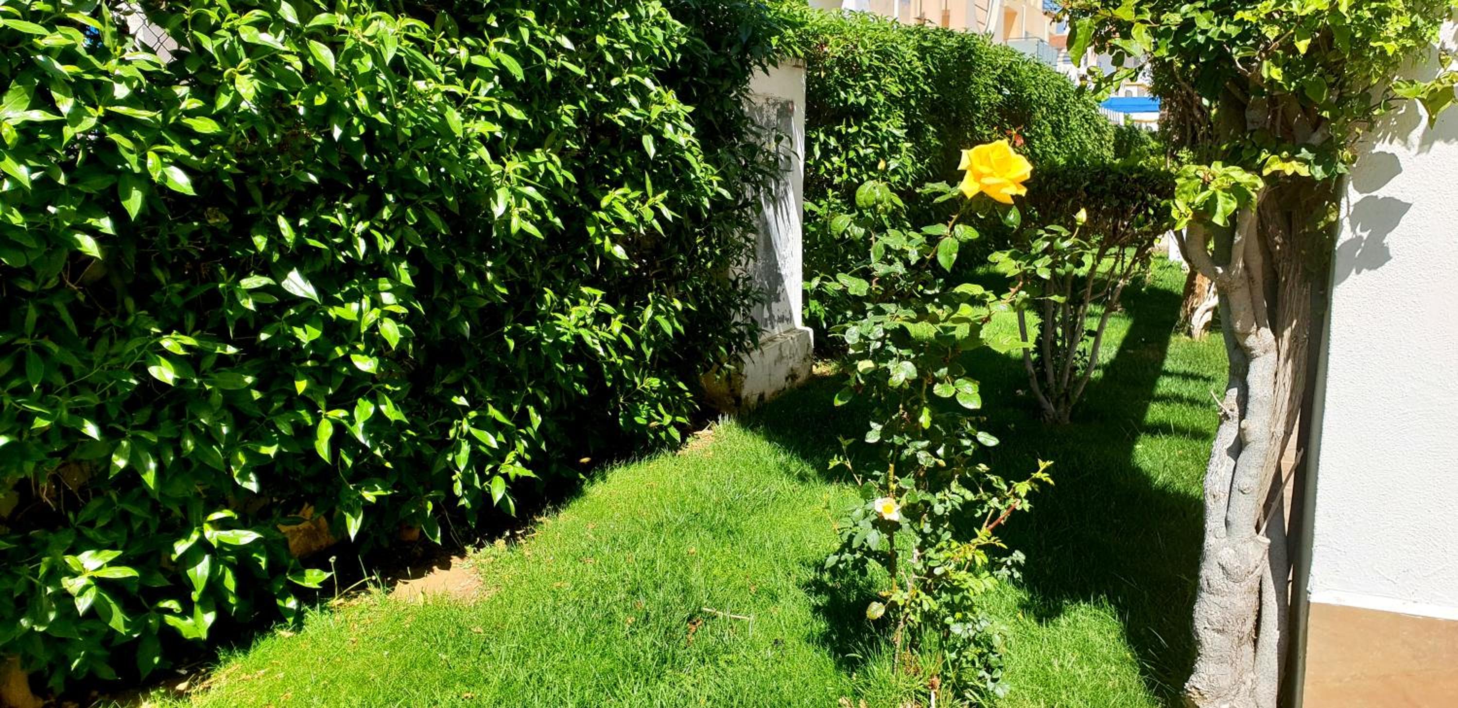 Studio Parque Mar view 4