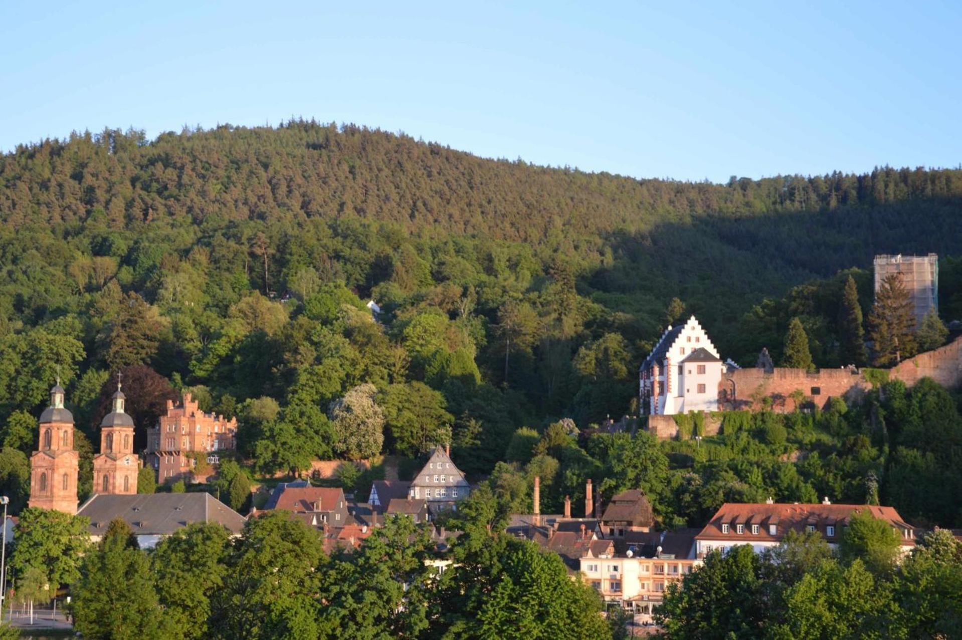 Panorama-Blick Miltenberg, 3 Pers., zentr., am Main, Terrasse, Bootverleih, P - Property Image 7