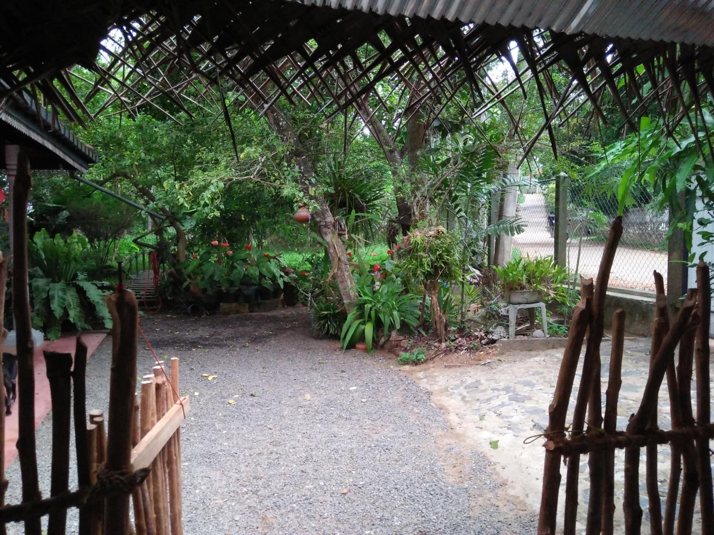 Photo 23