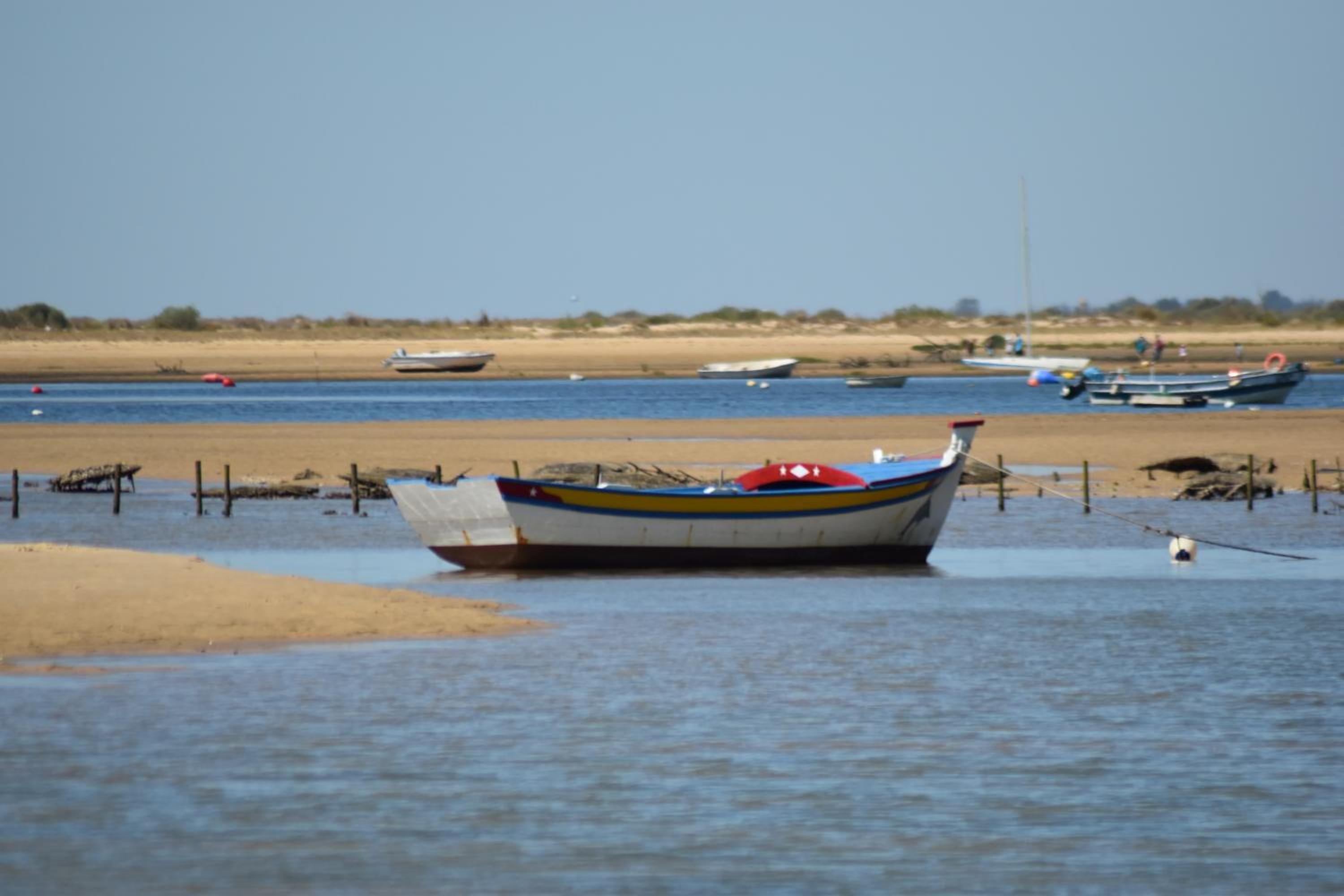 Photo 40