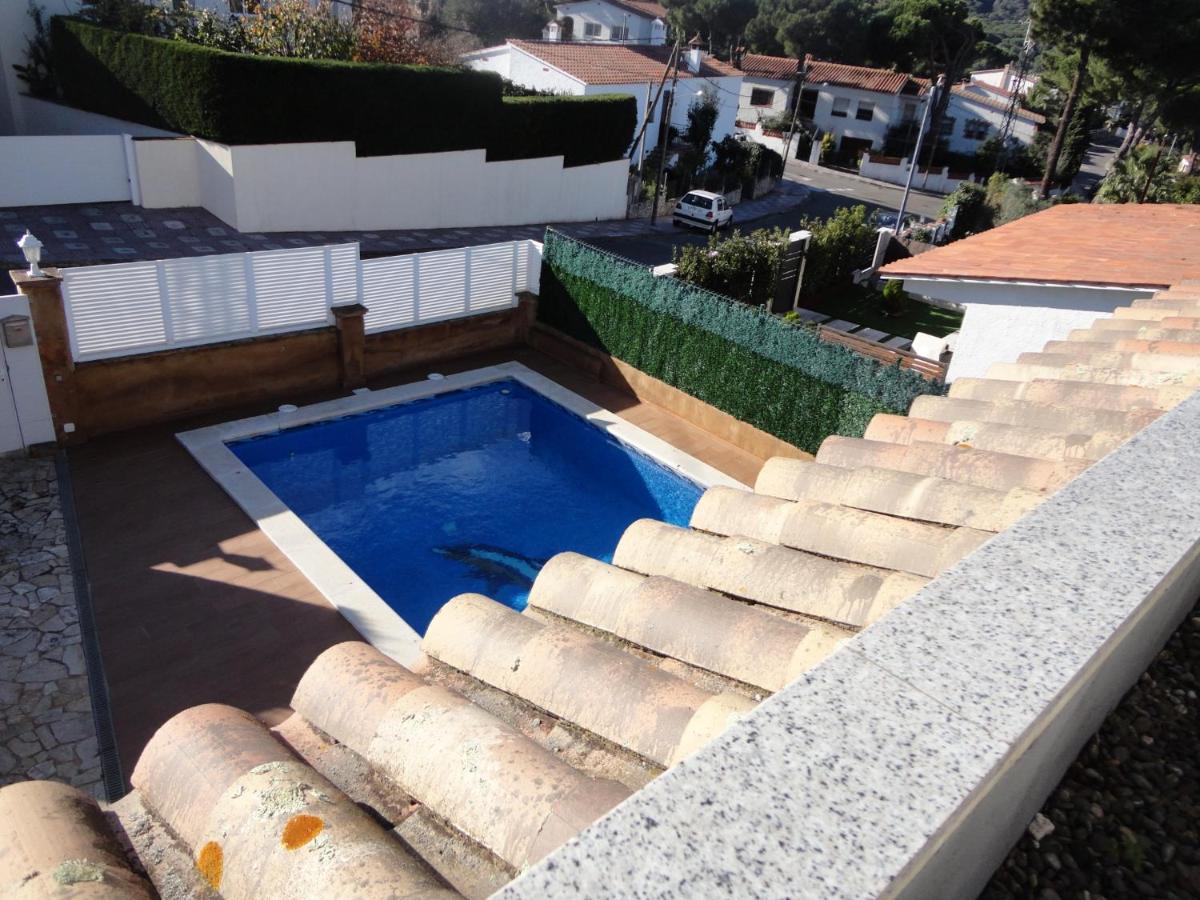 Villa joncs — photo 4