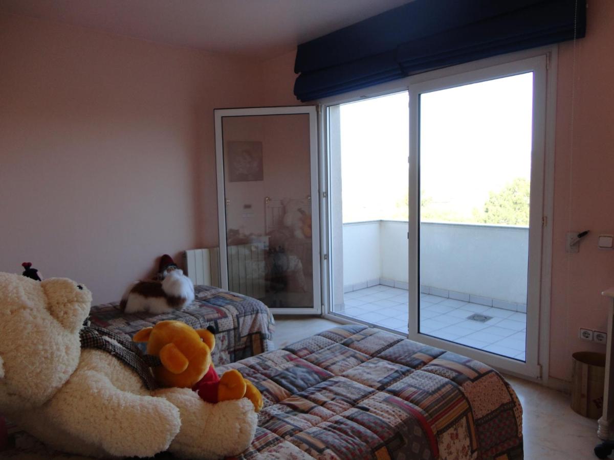 Villa joncs, photo 6