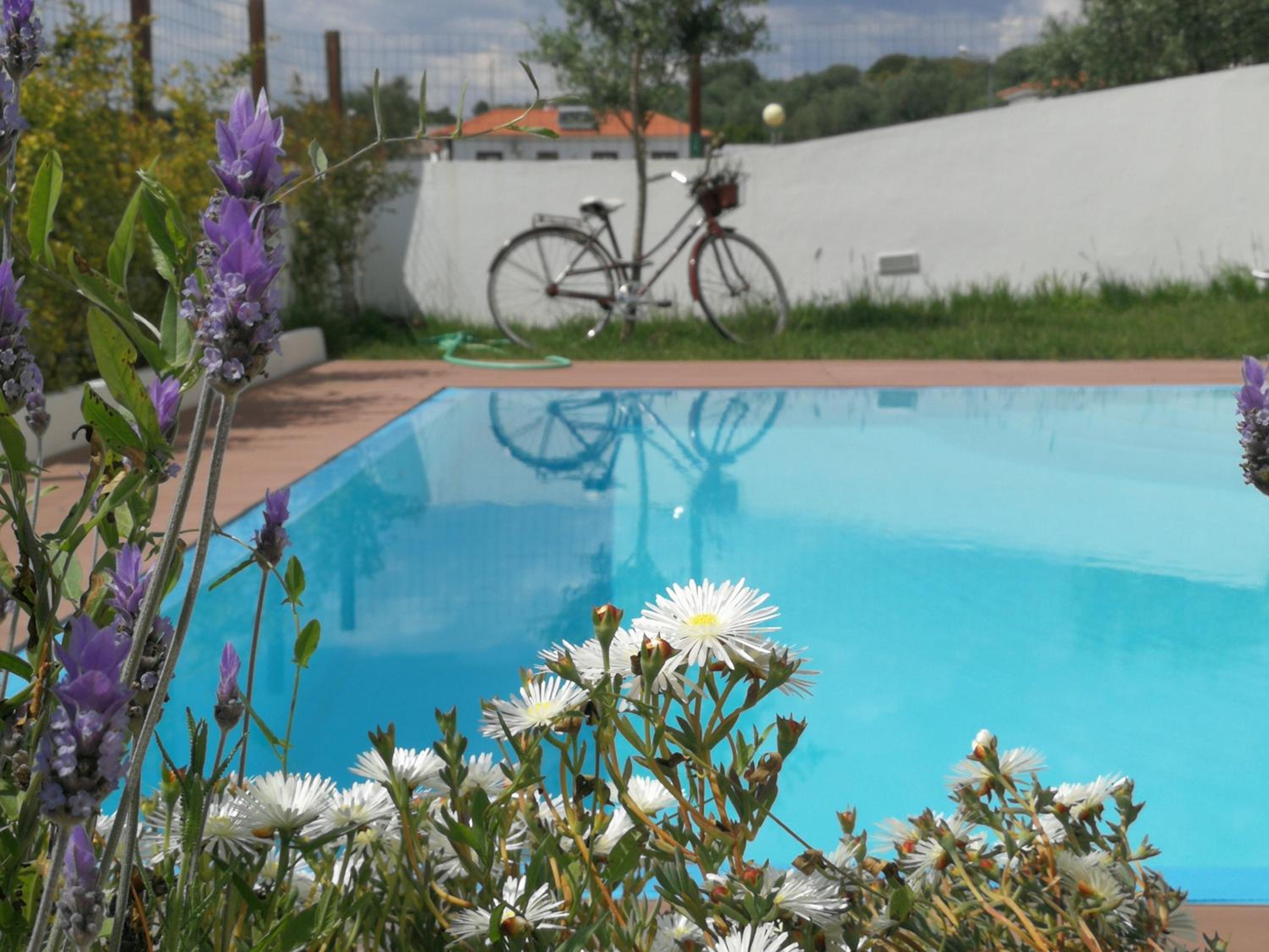 Alentejo`s Nest