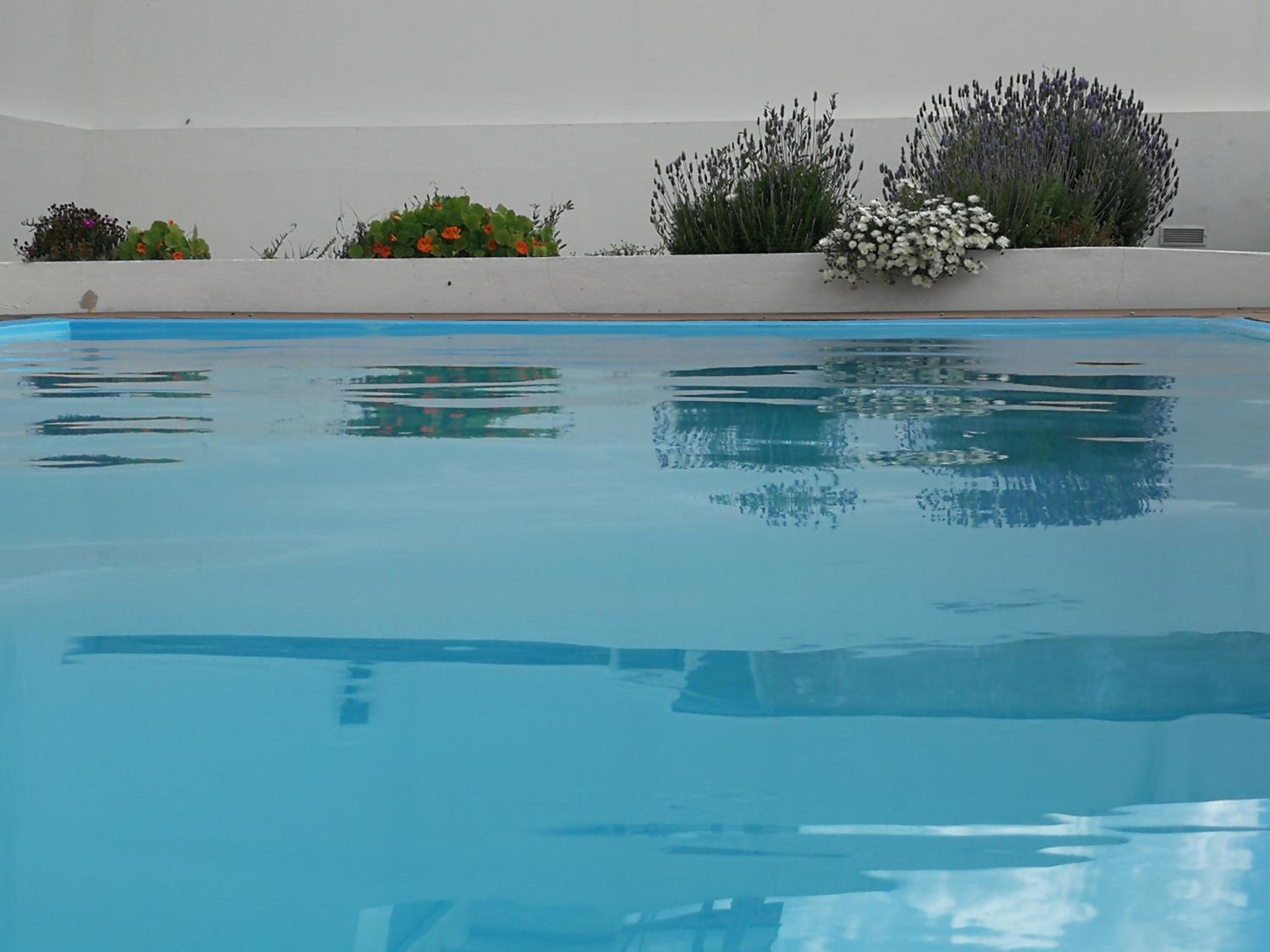 Alentejo`s Nest