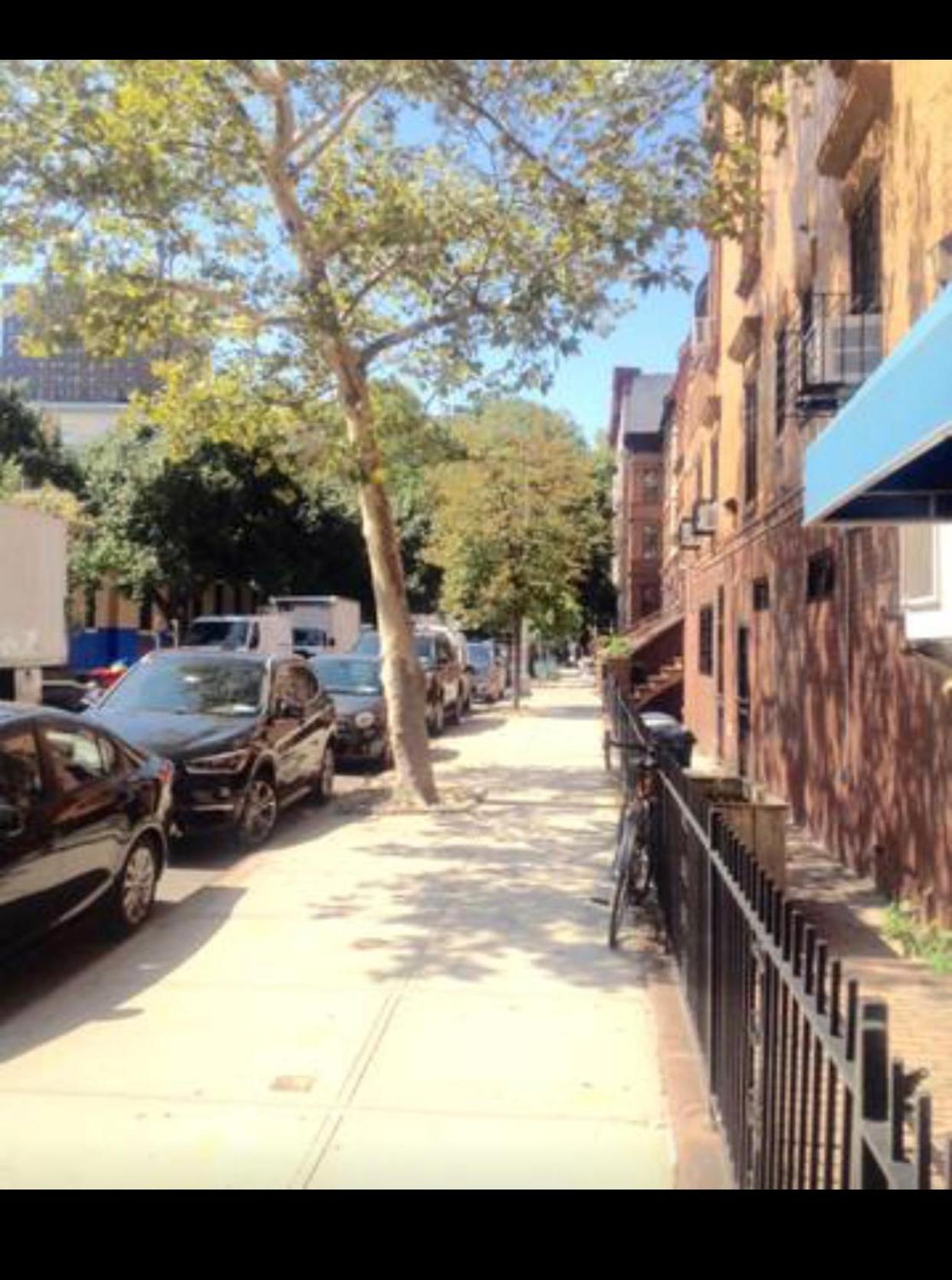Harlem Brownstone