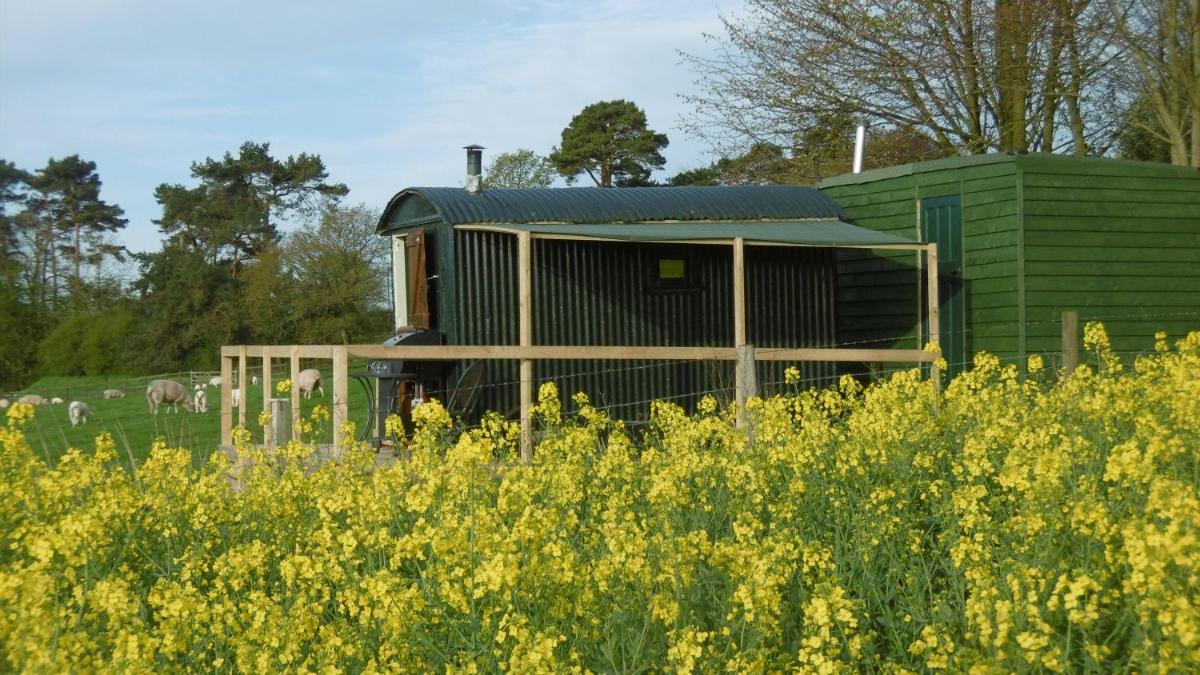 Shepherd's Hut view 3
