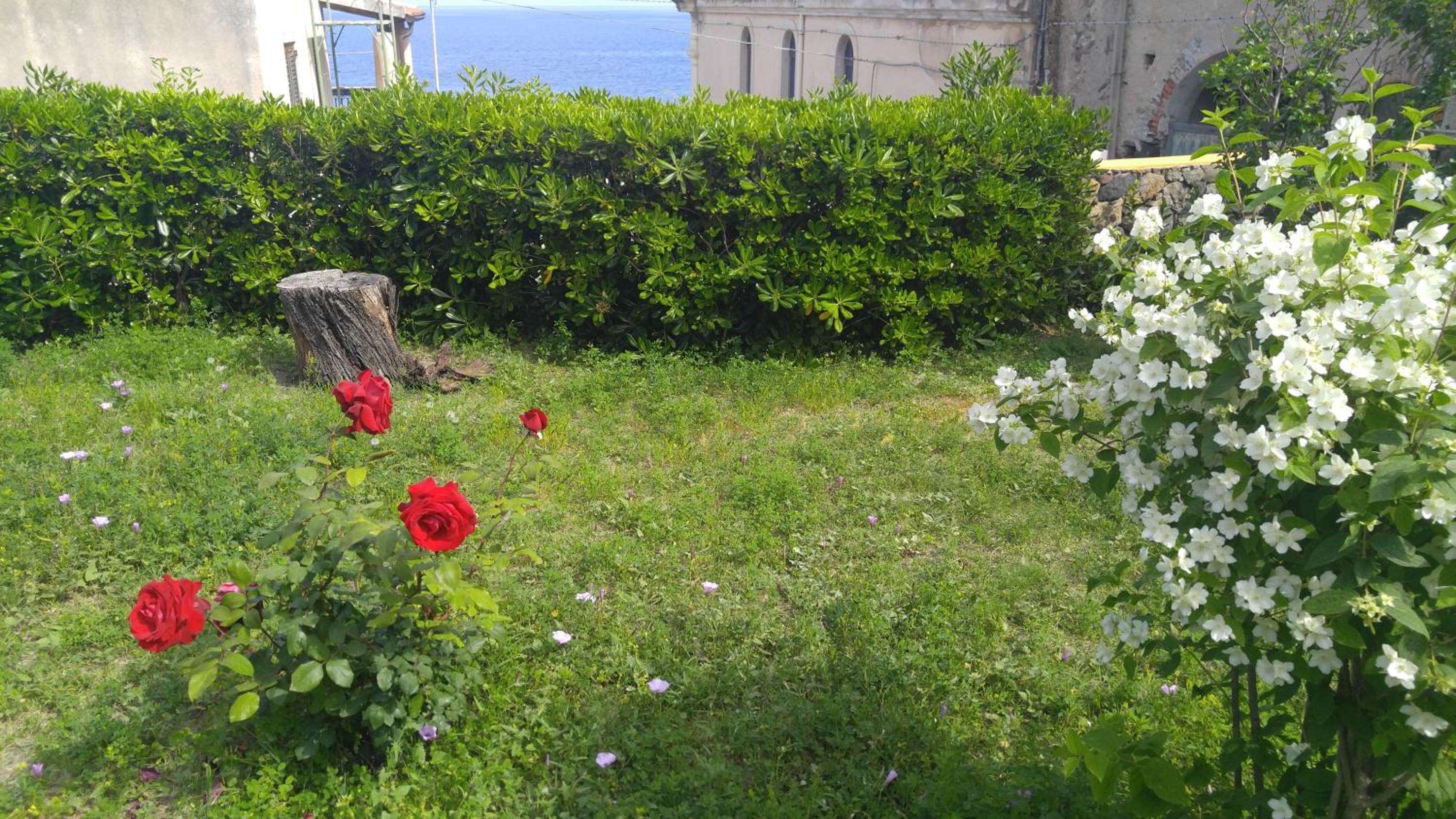 Photo 40