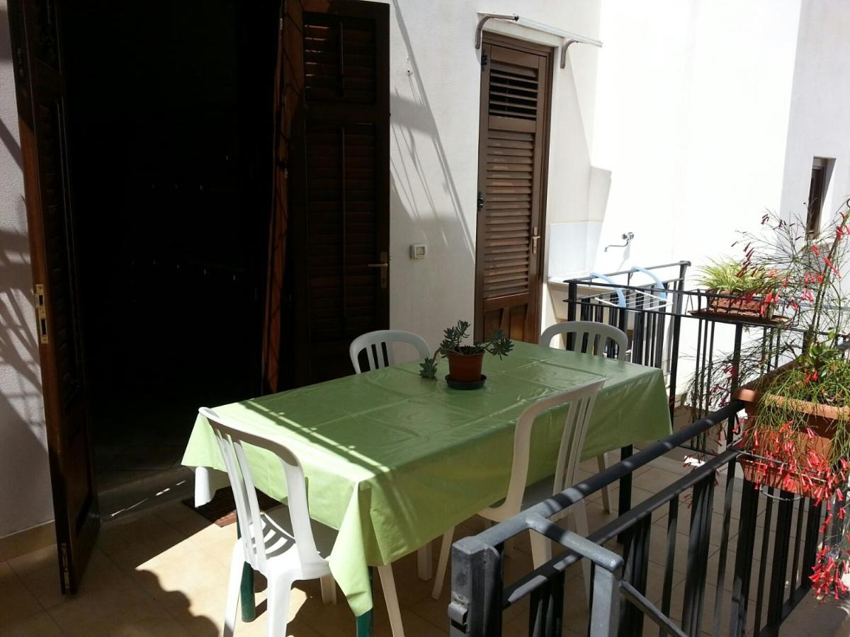 Sole photo 2