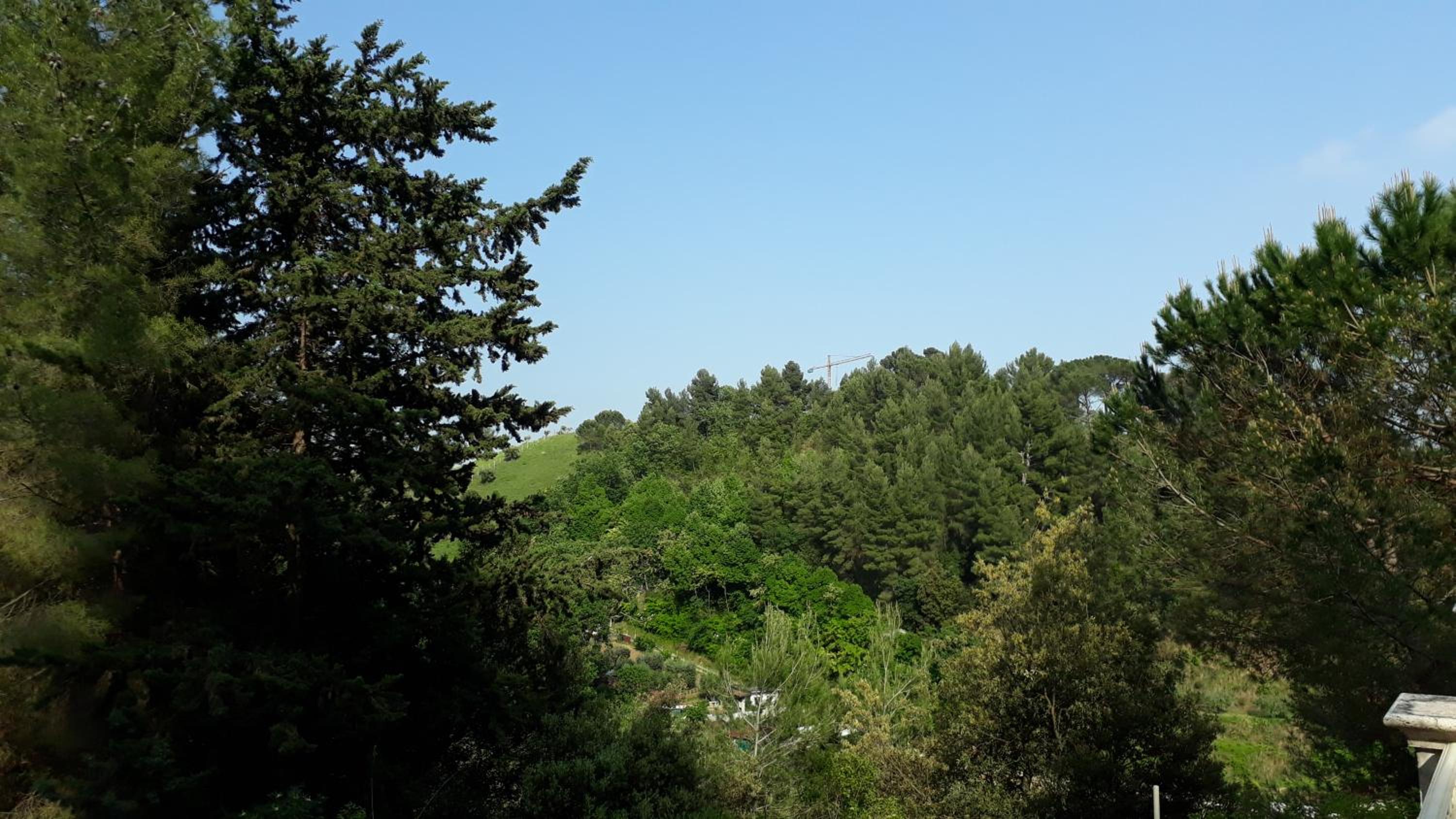 Photo 36