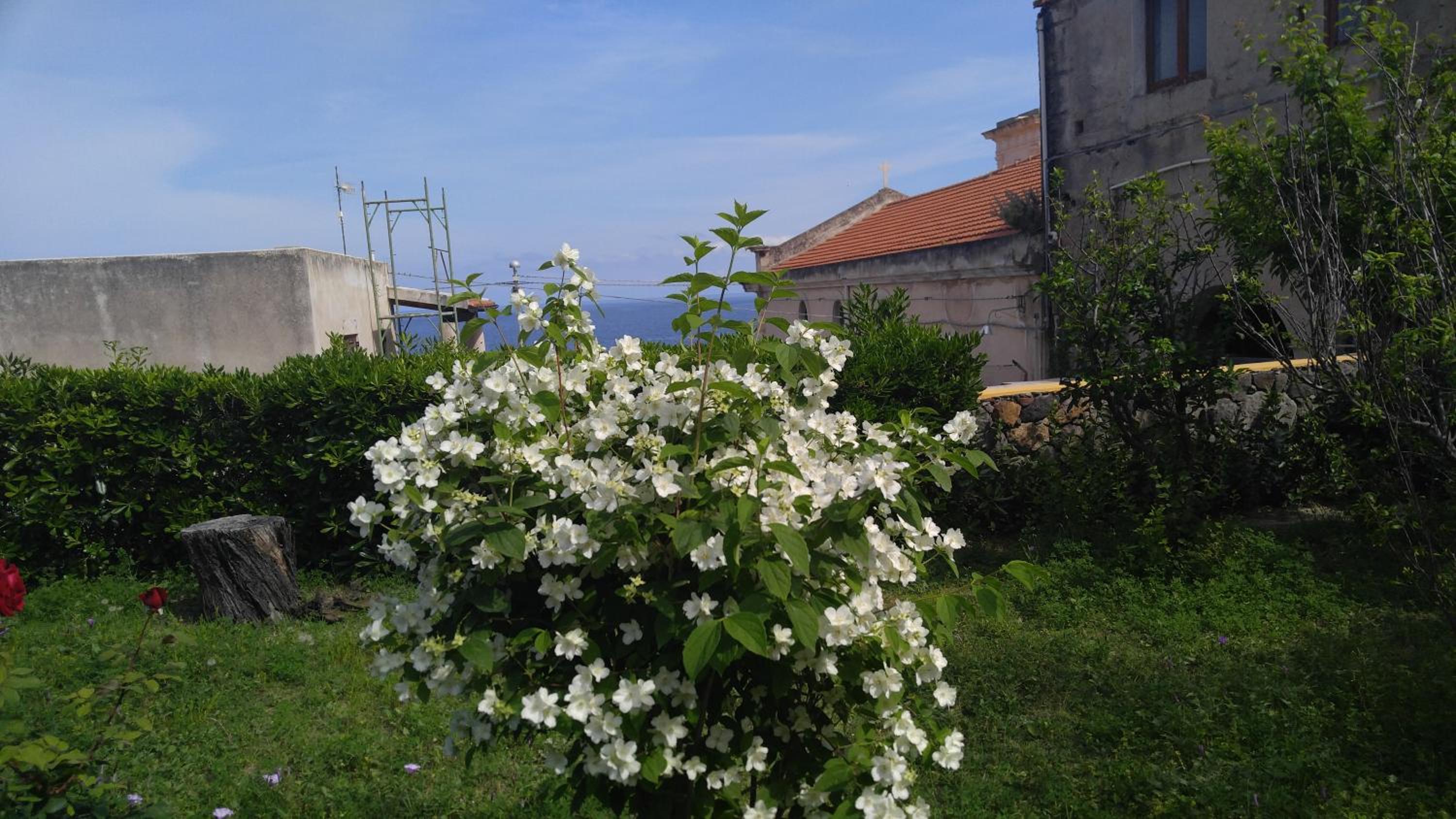 Photo 37