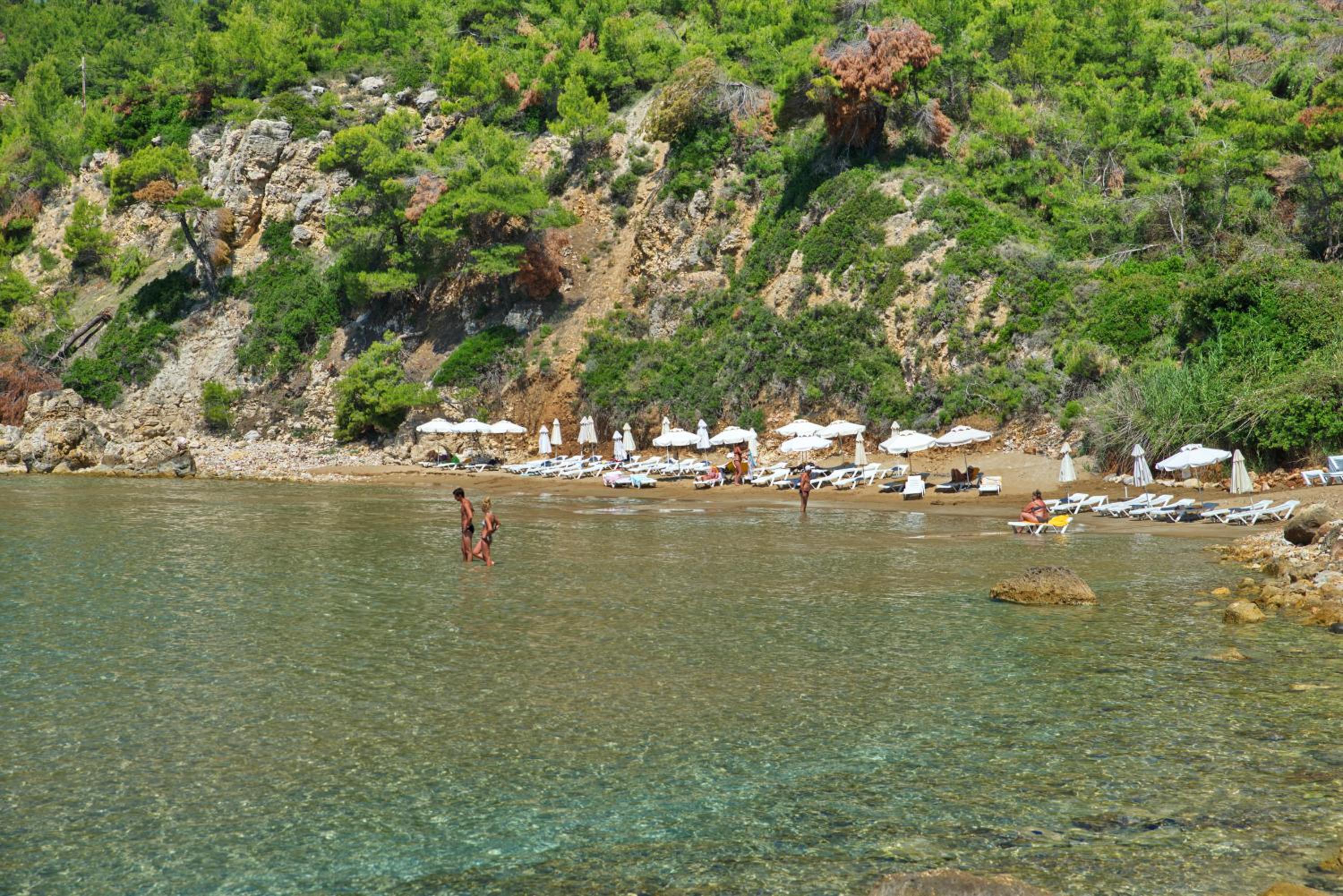 Alonissos Beach Bungalows And Suites Hotel