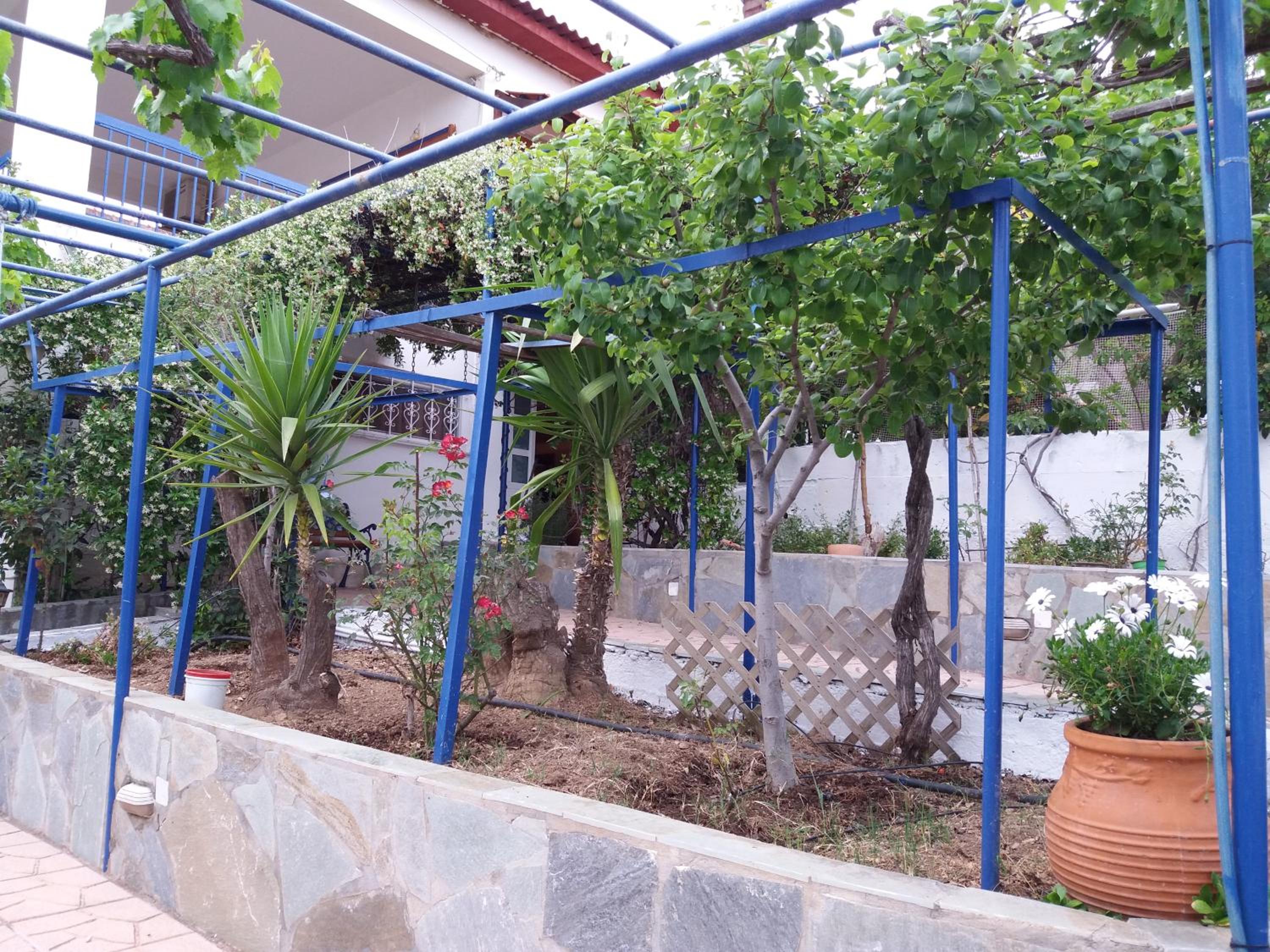 Aliki House photo 5