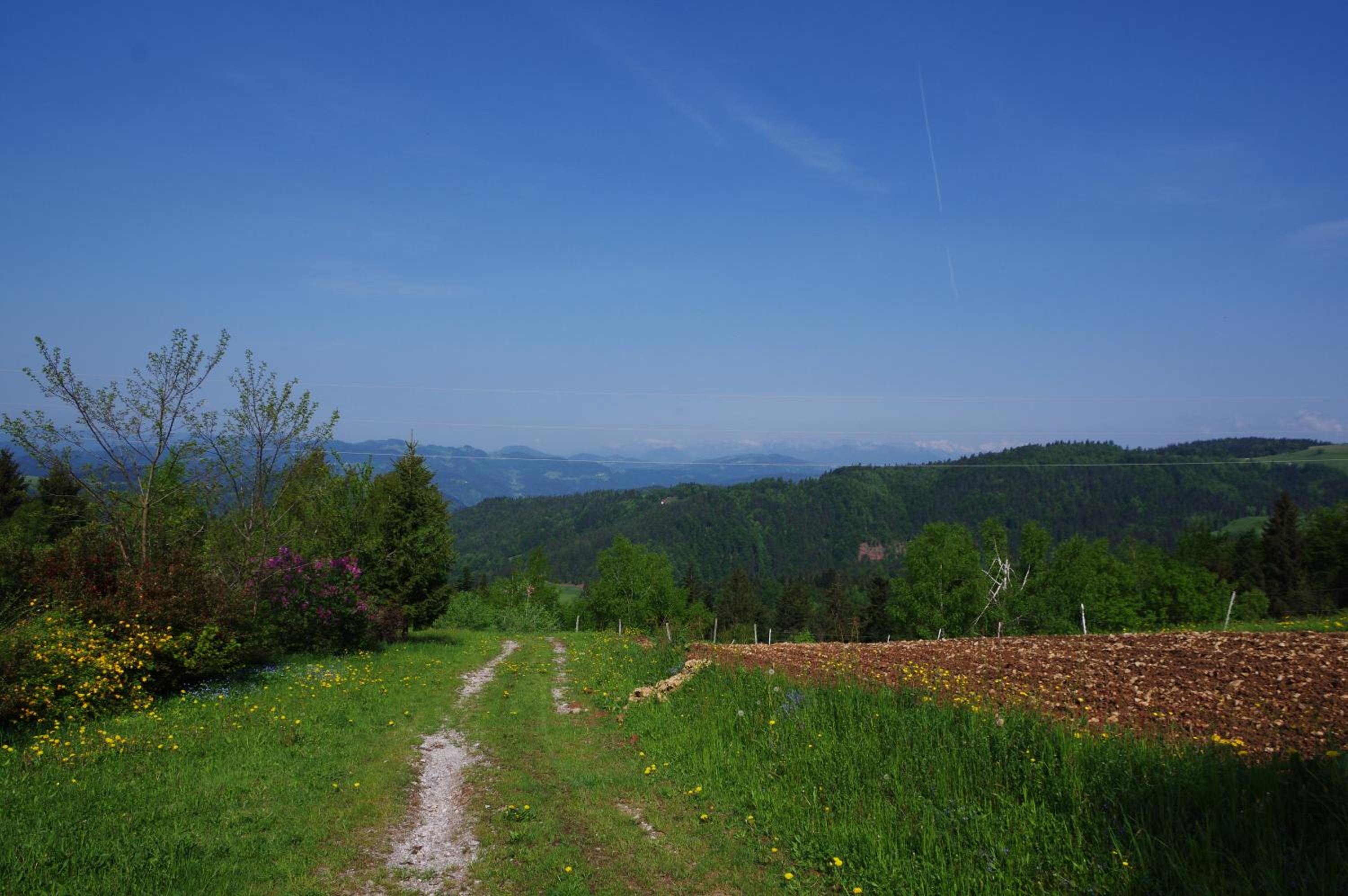 Photo 29