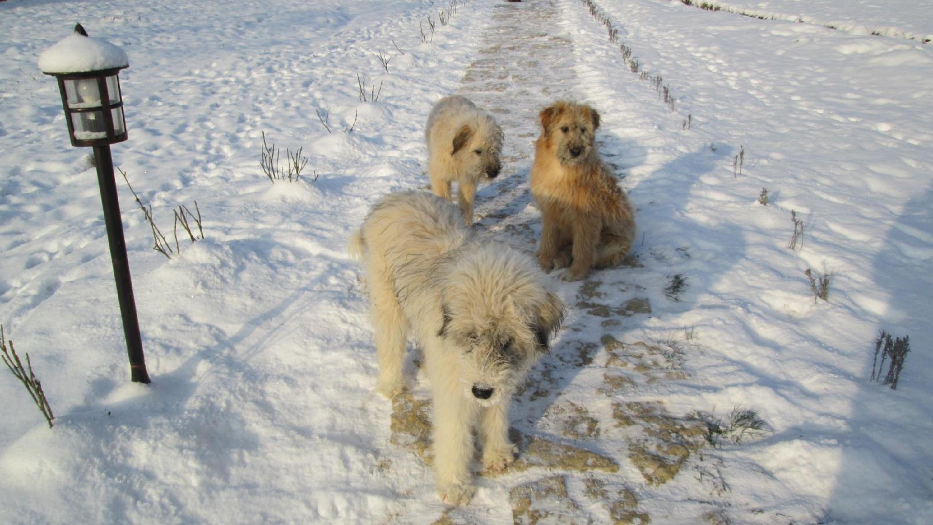 Photo 47
