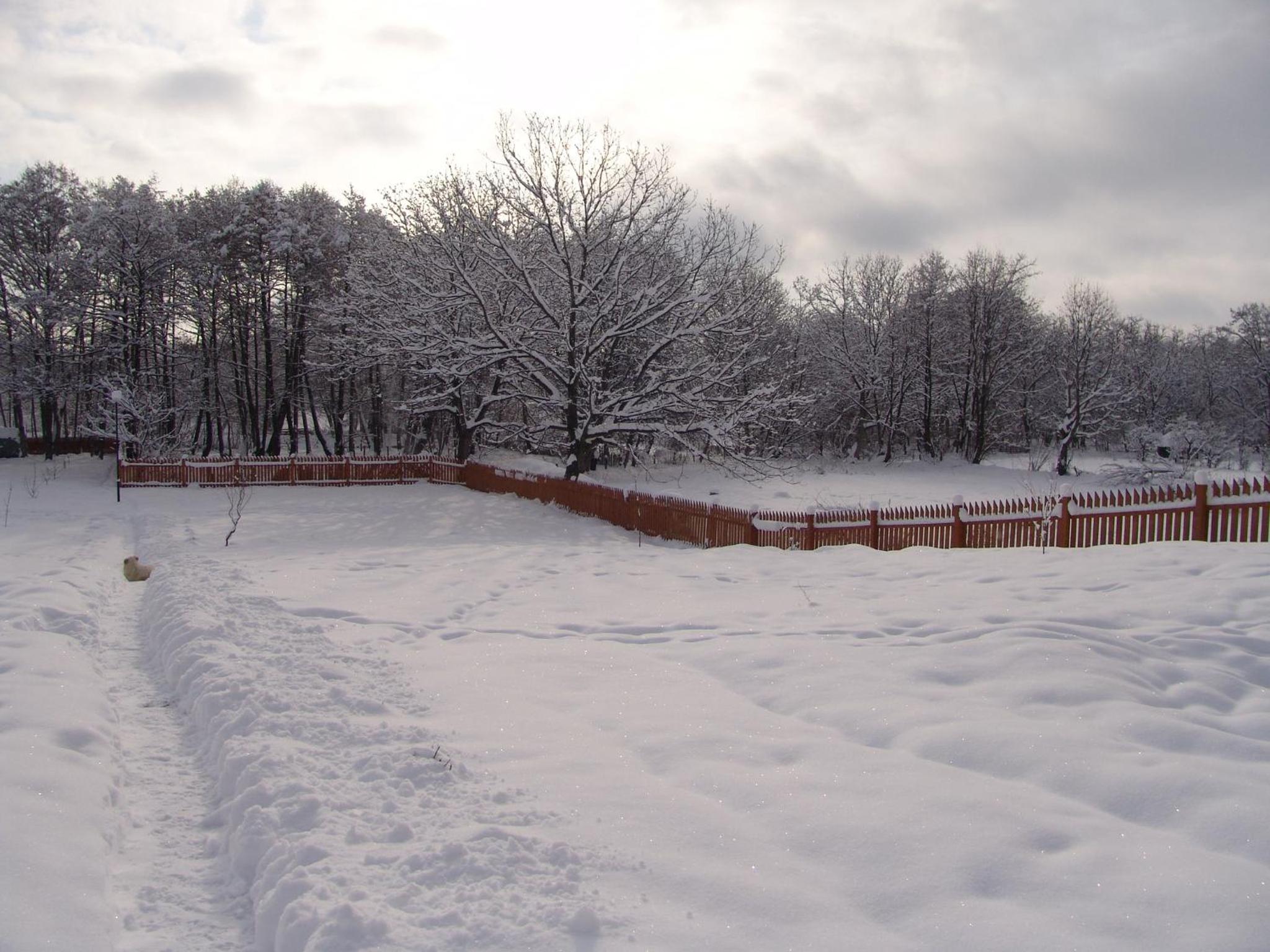 Photo 44