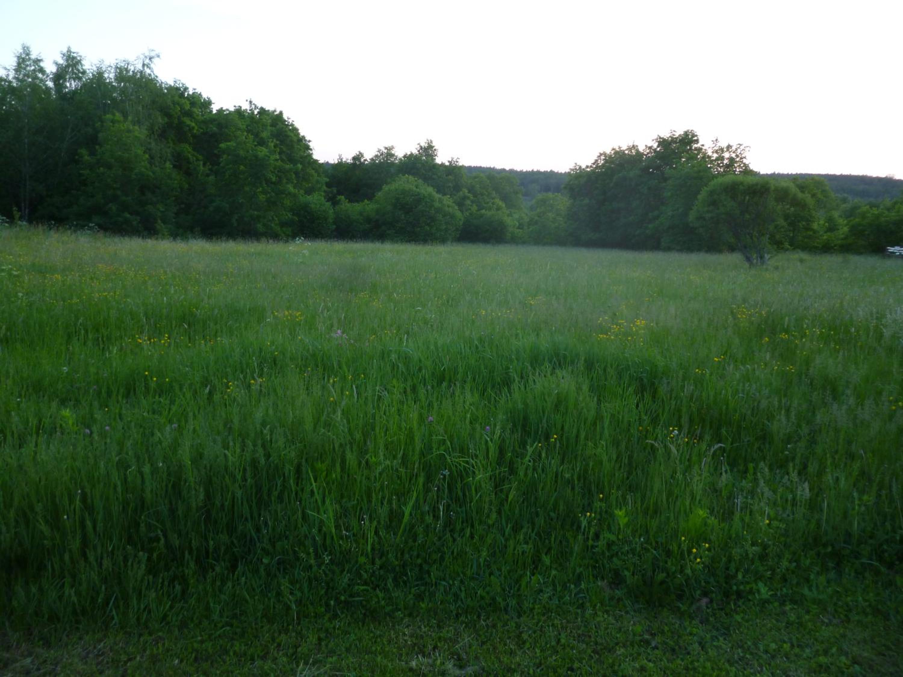 Photo 67