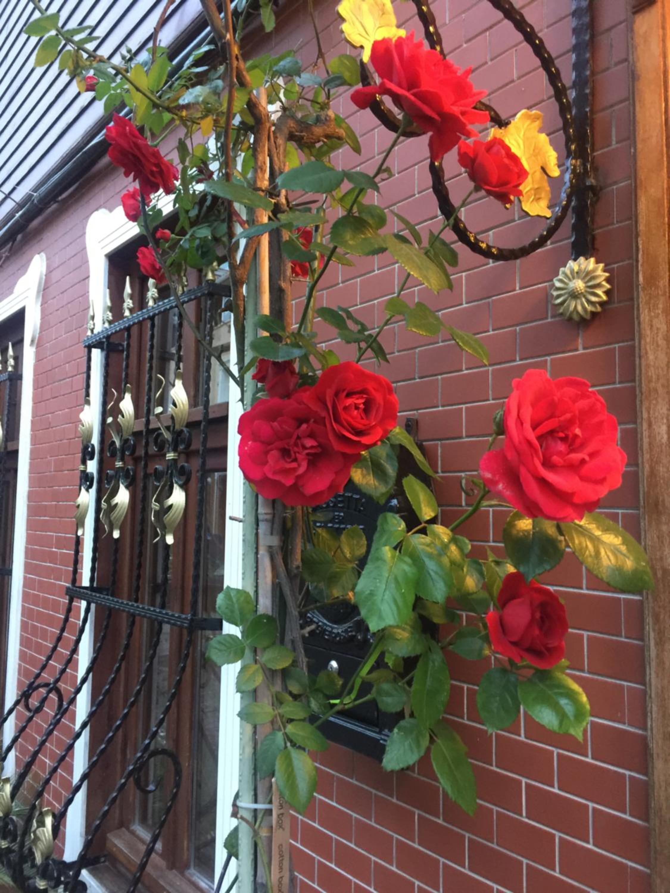 Ahmet Efendi Evi - Image 13