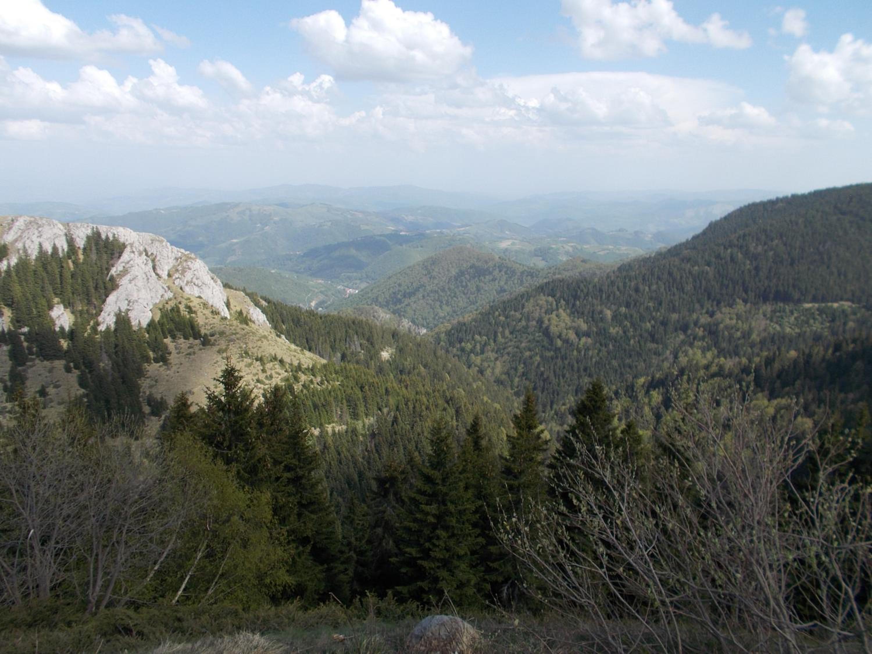 Photo 43