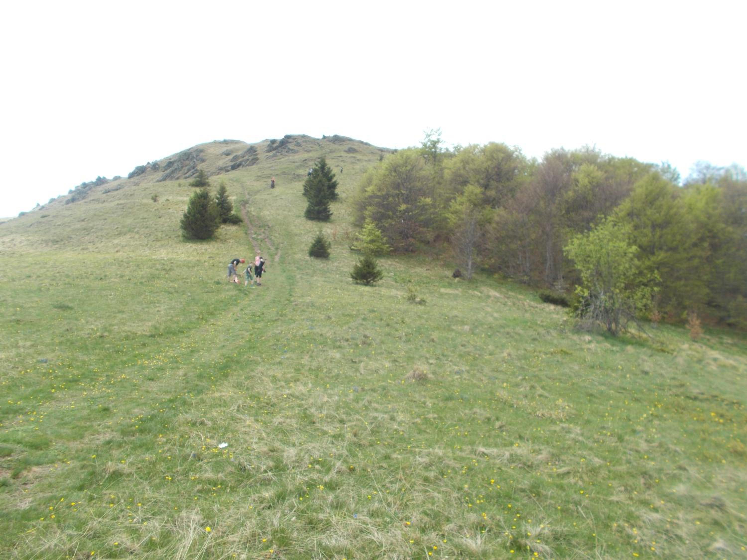 Photo 41