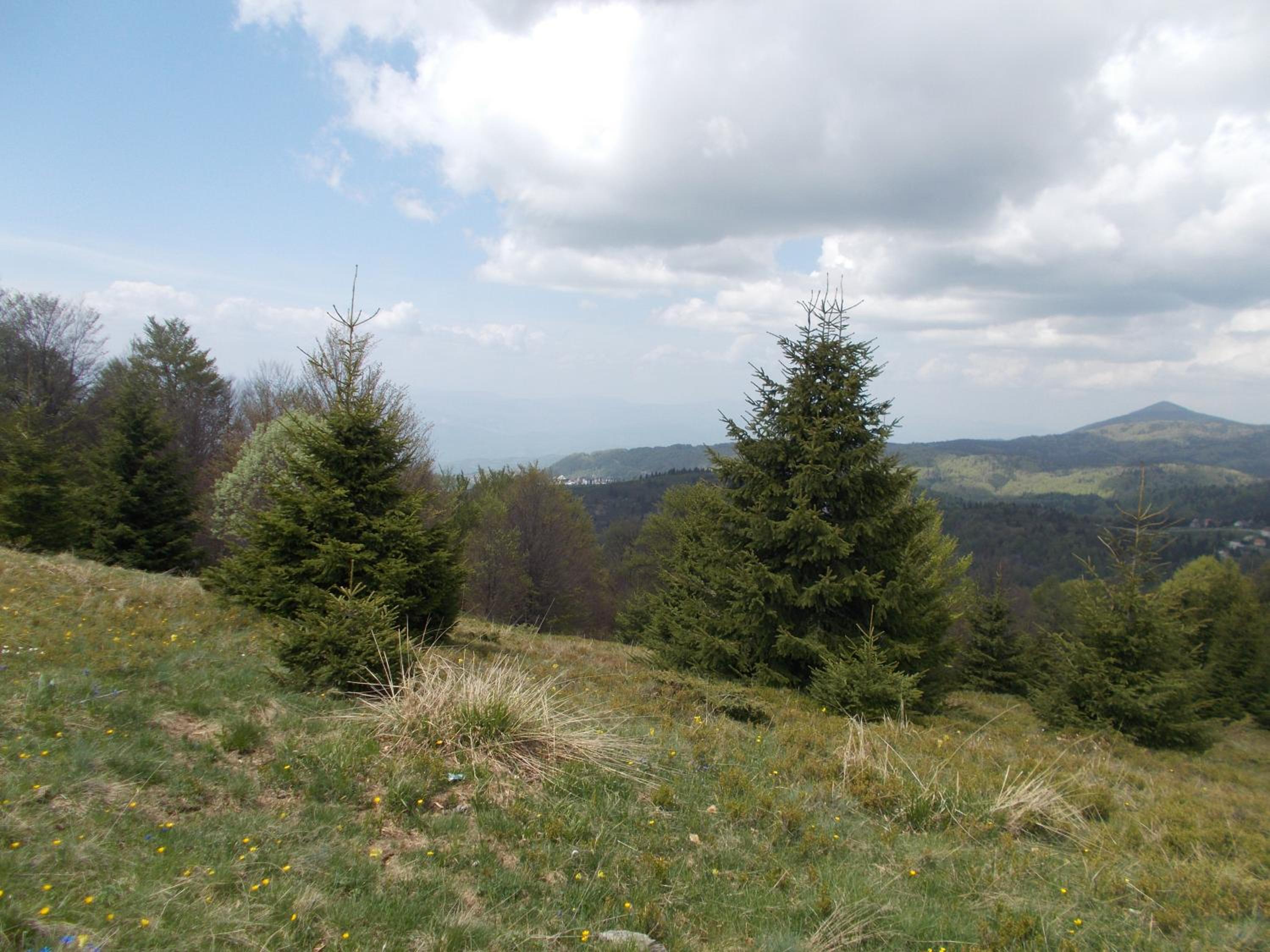 Photo 42