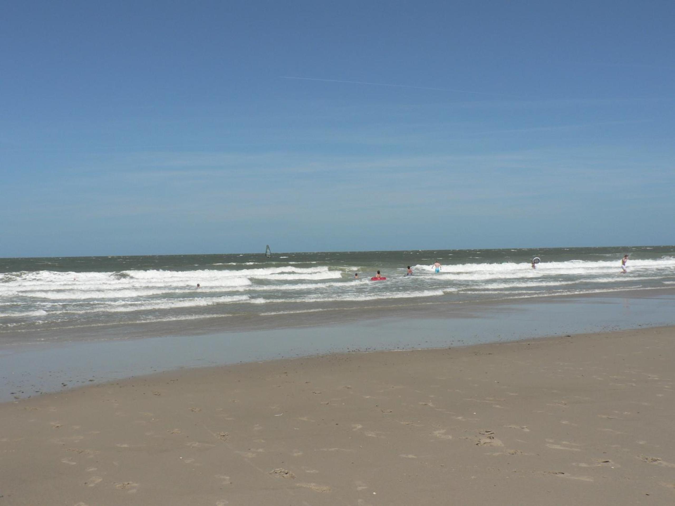Photo 42