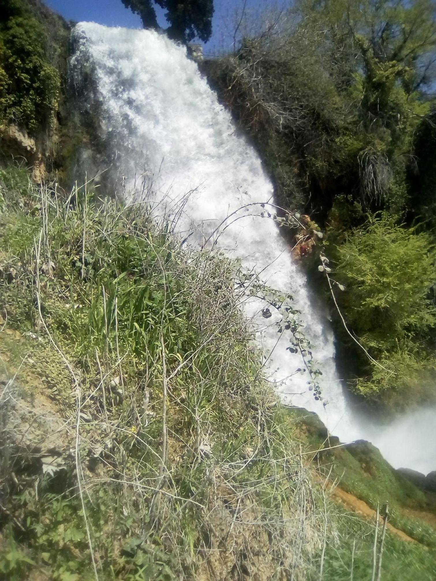 Photo 47
