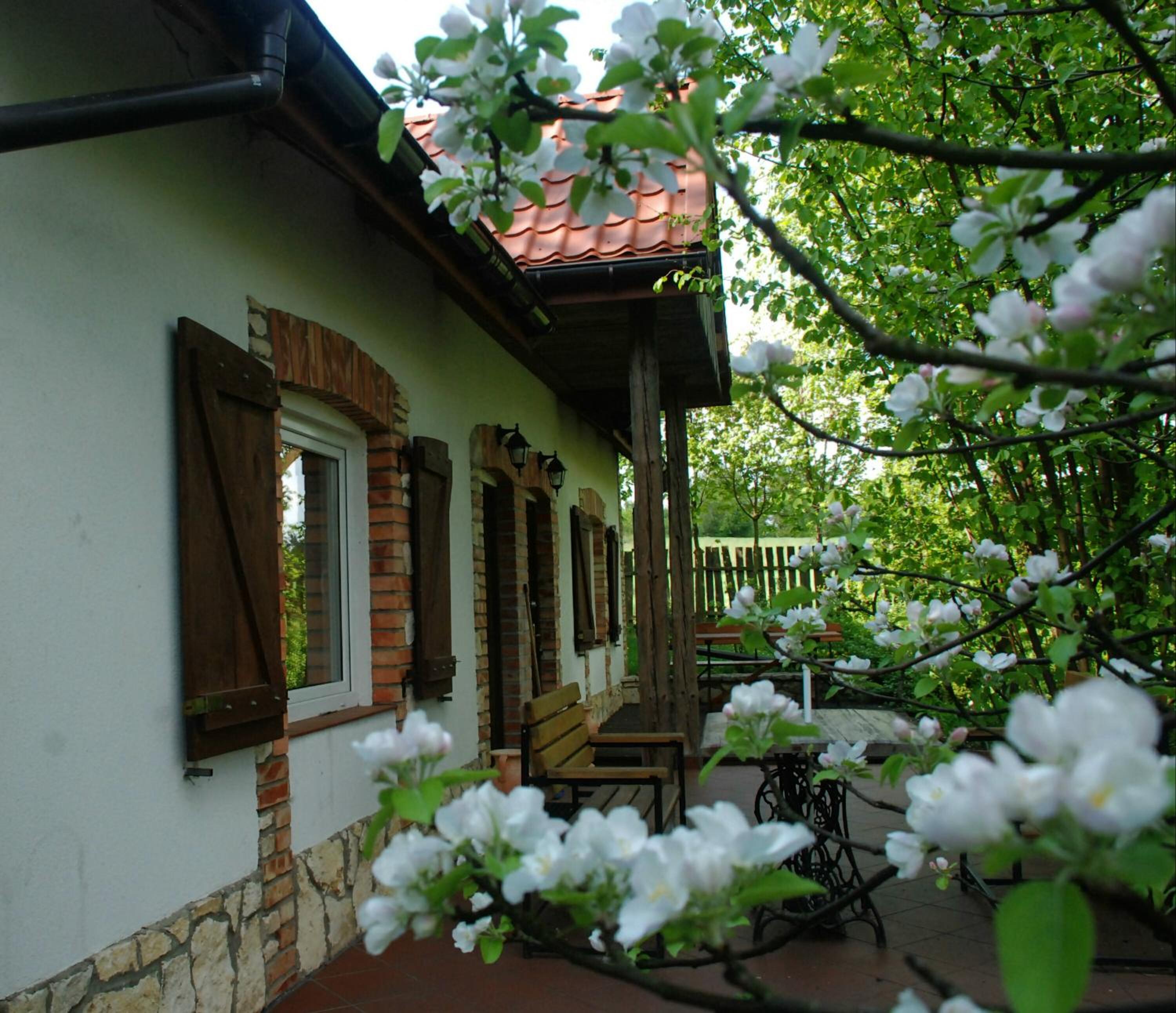 Photo 38