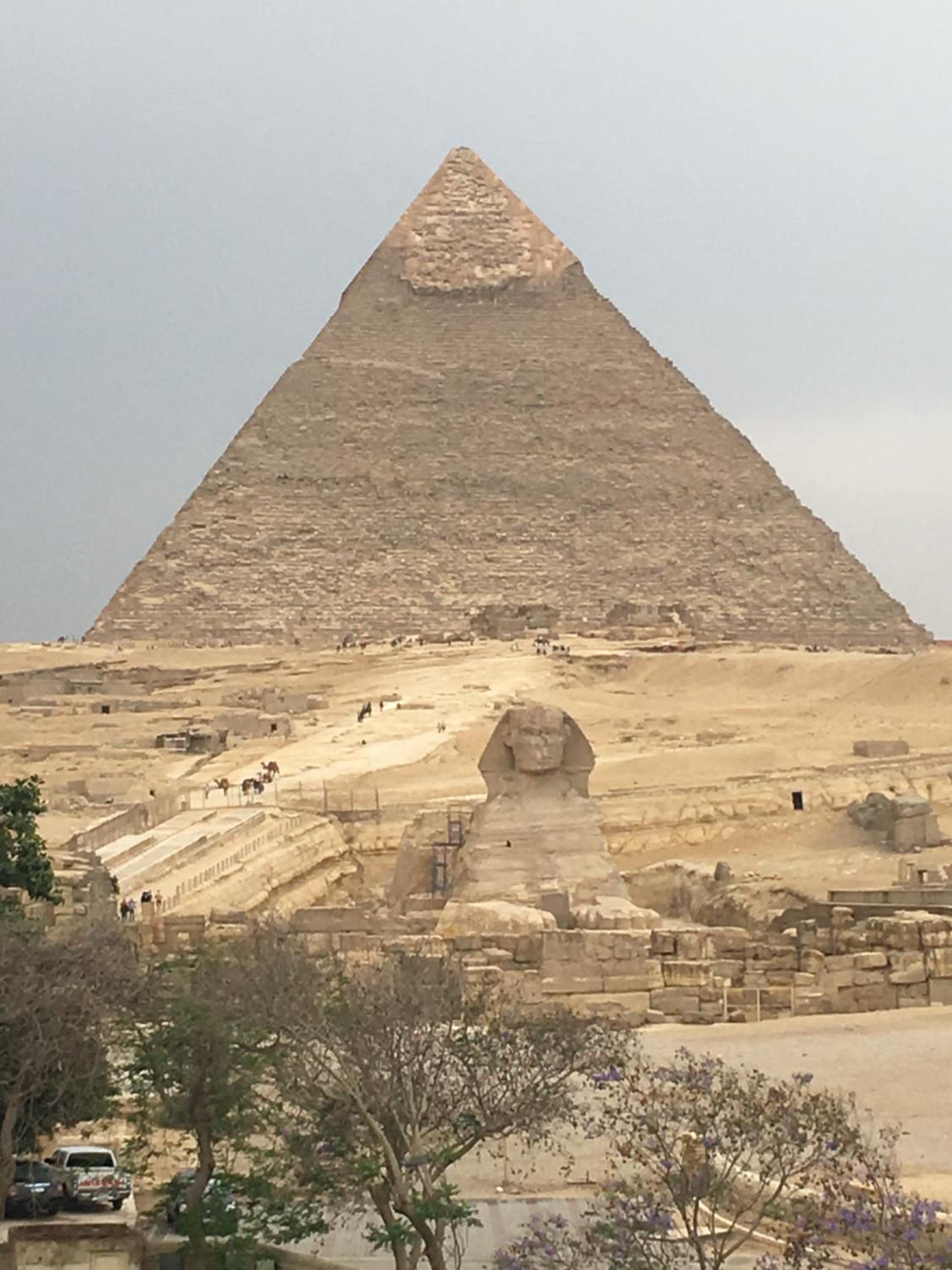 Pyramids View Inn Bed & Breakfast — photo 113