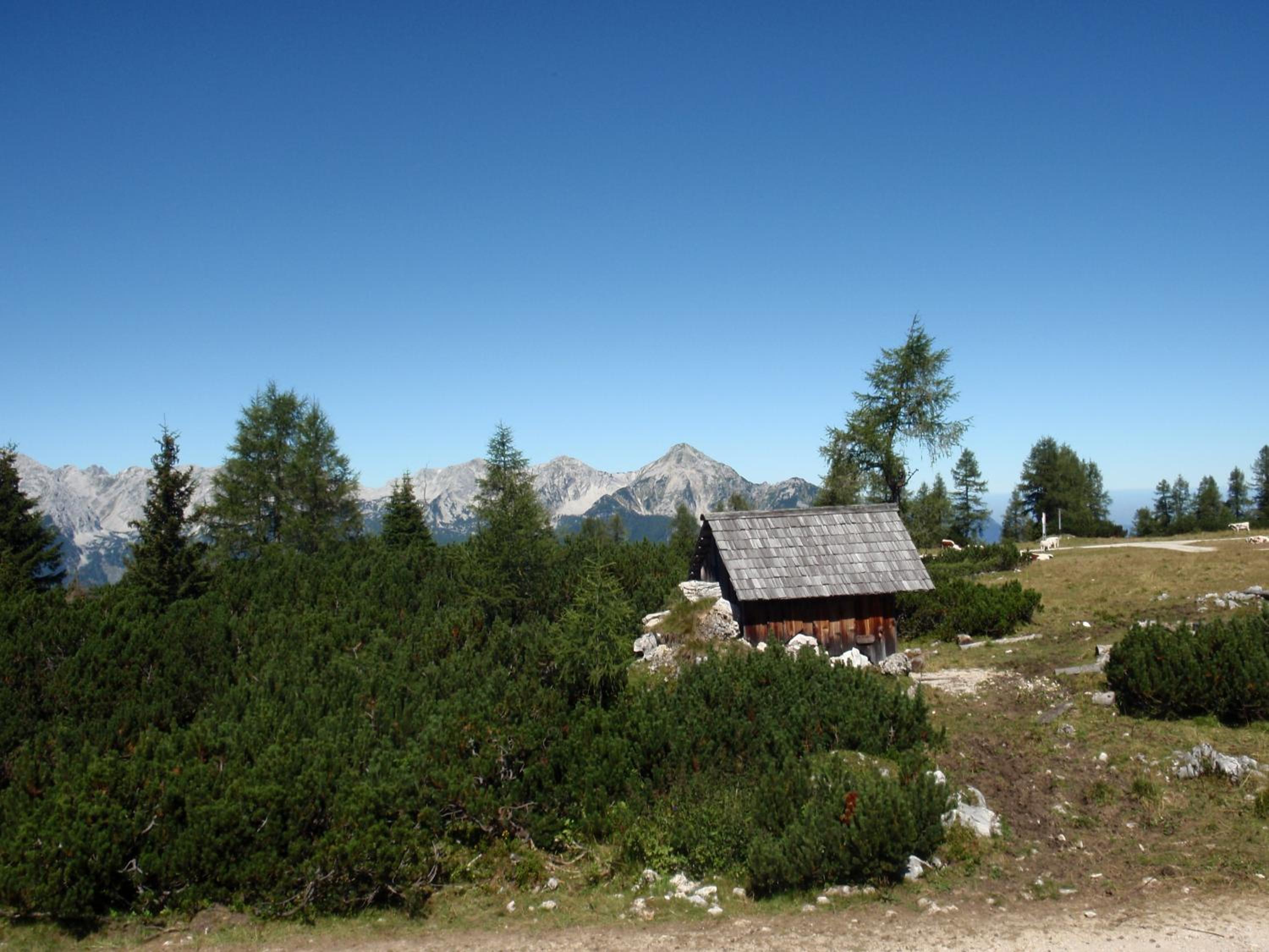 Pension INGE