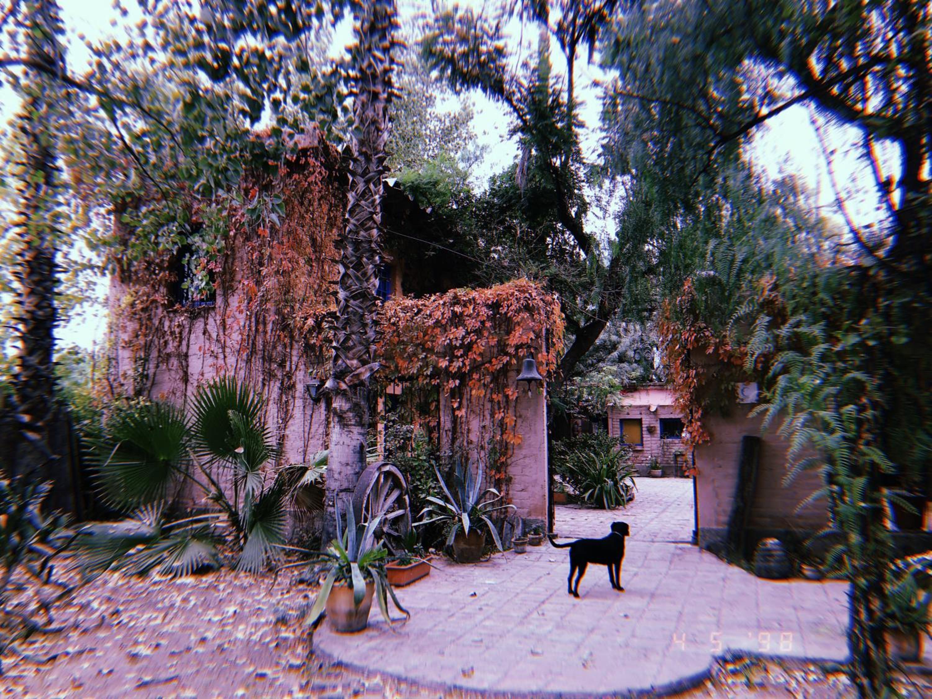Molino la Tebaida