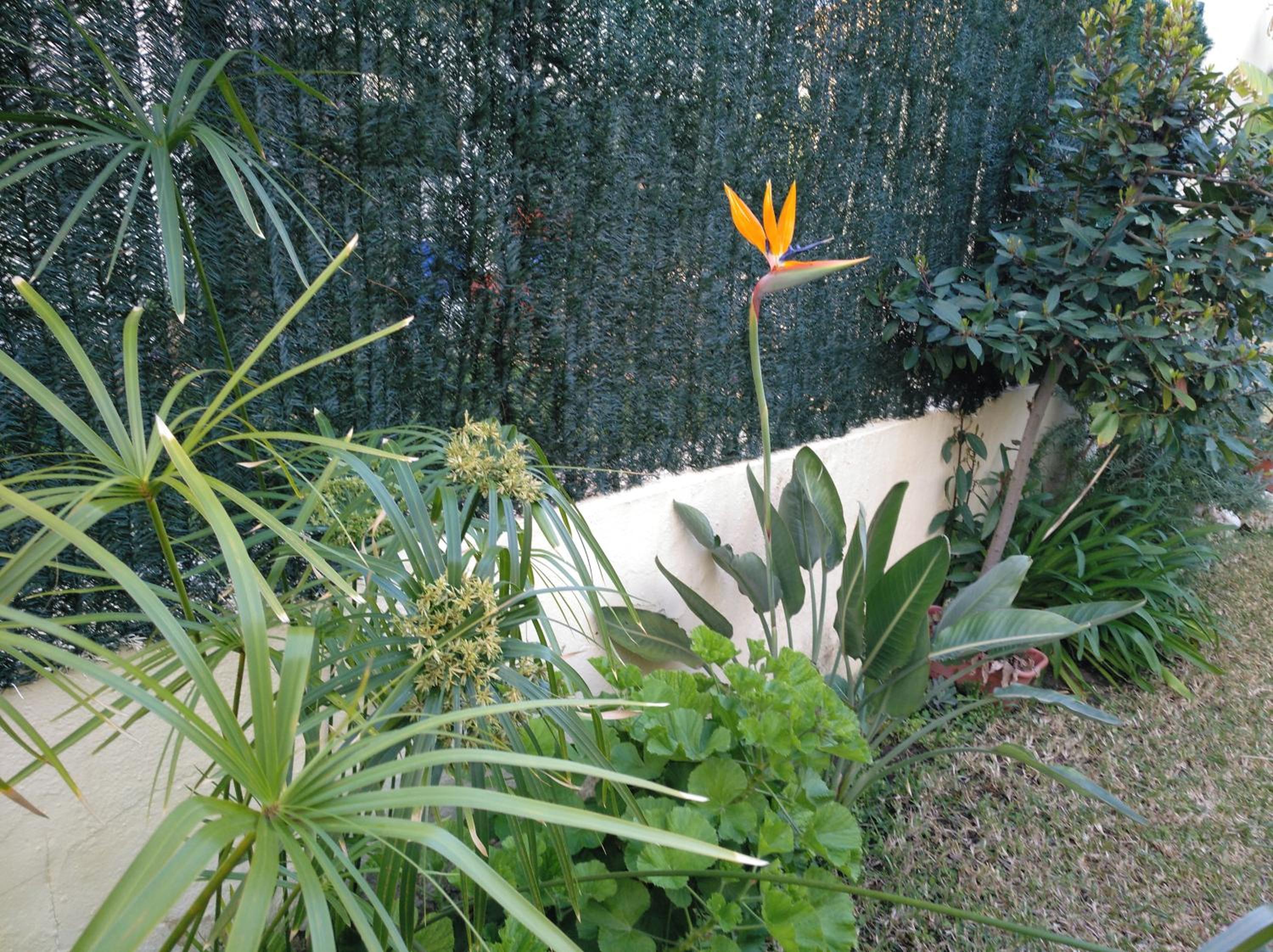 Photo 26