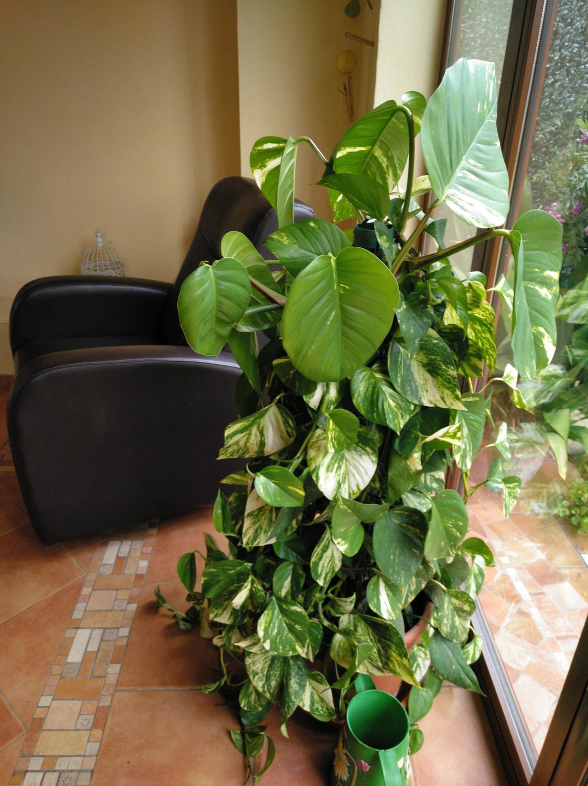 Photo 14