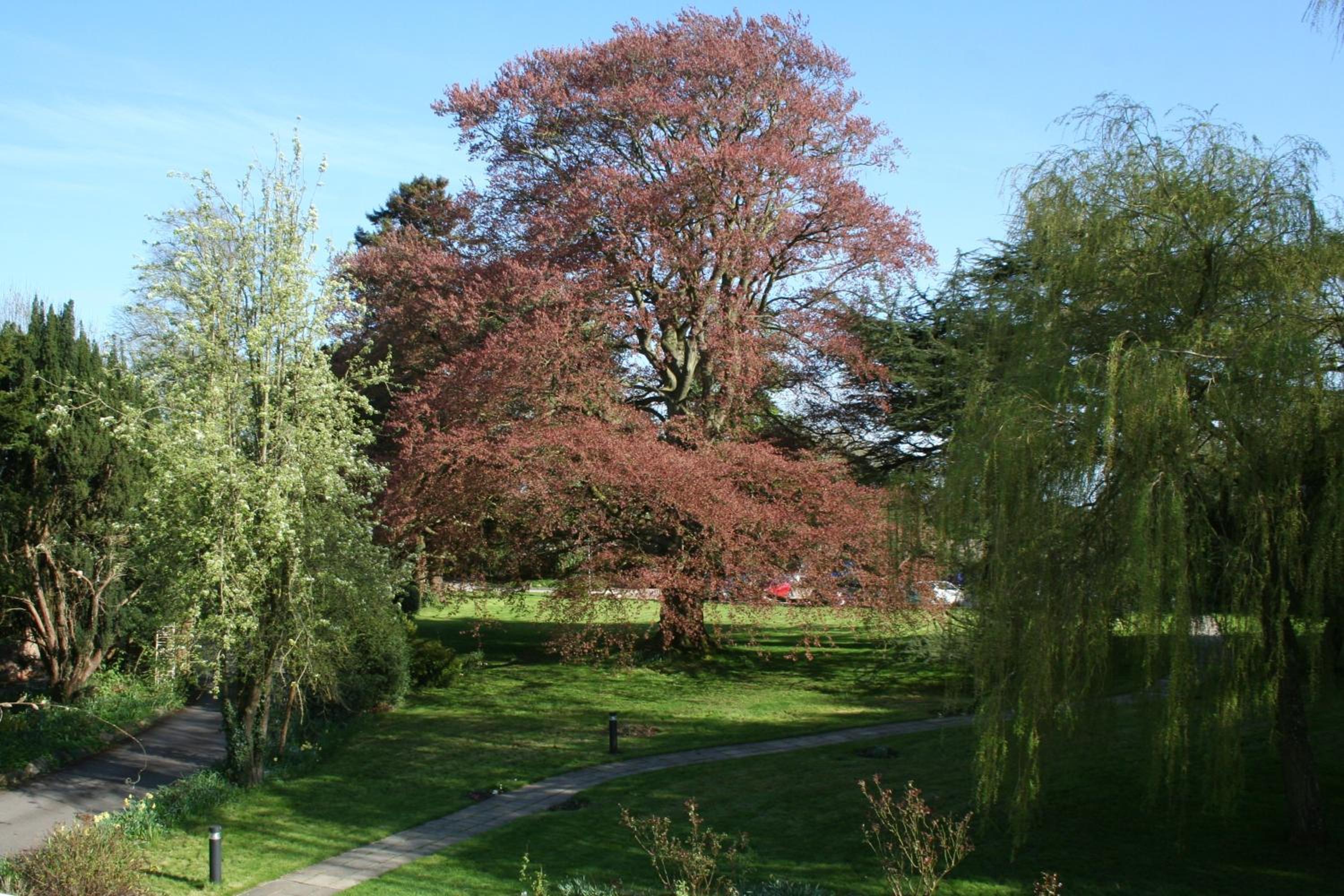 Chiseldon House Hotel