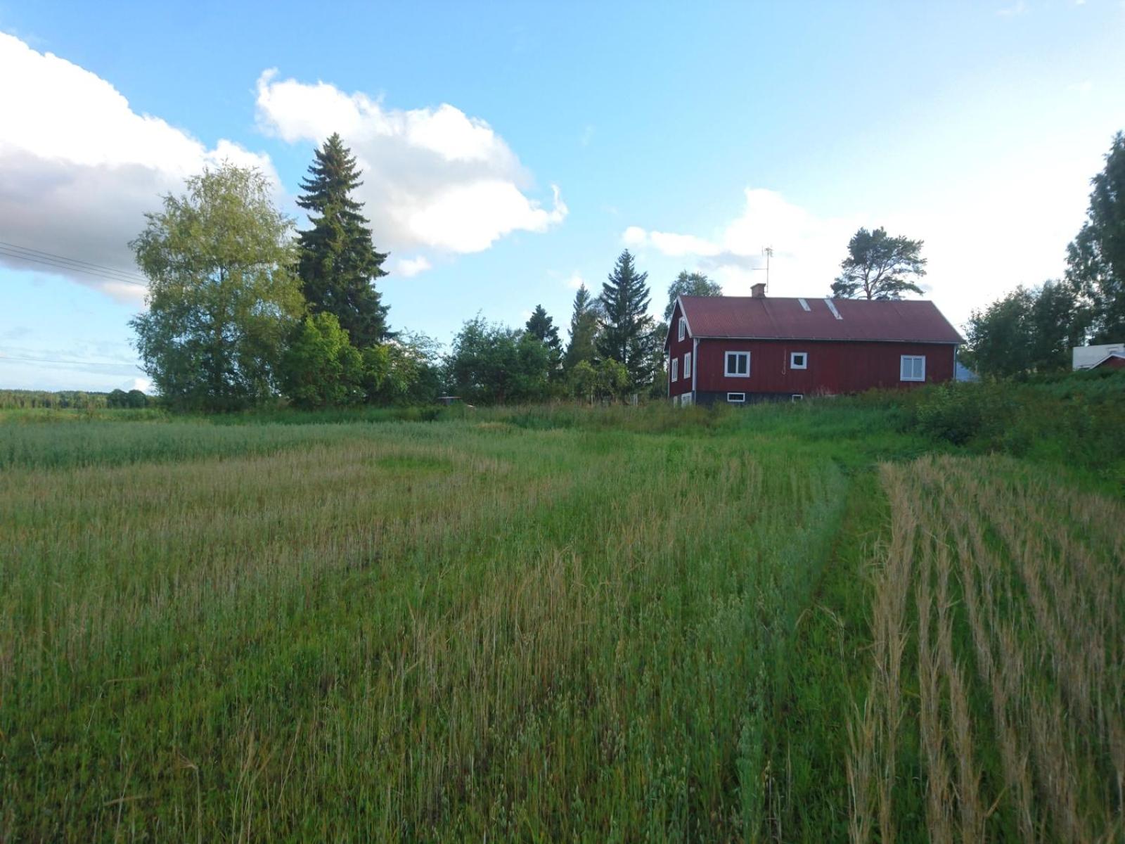 Photo 57