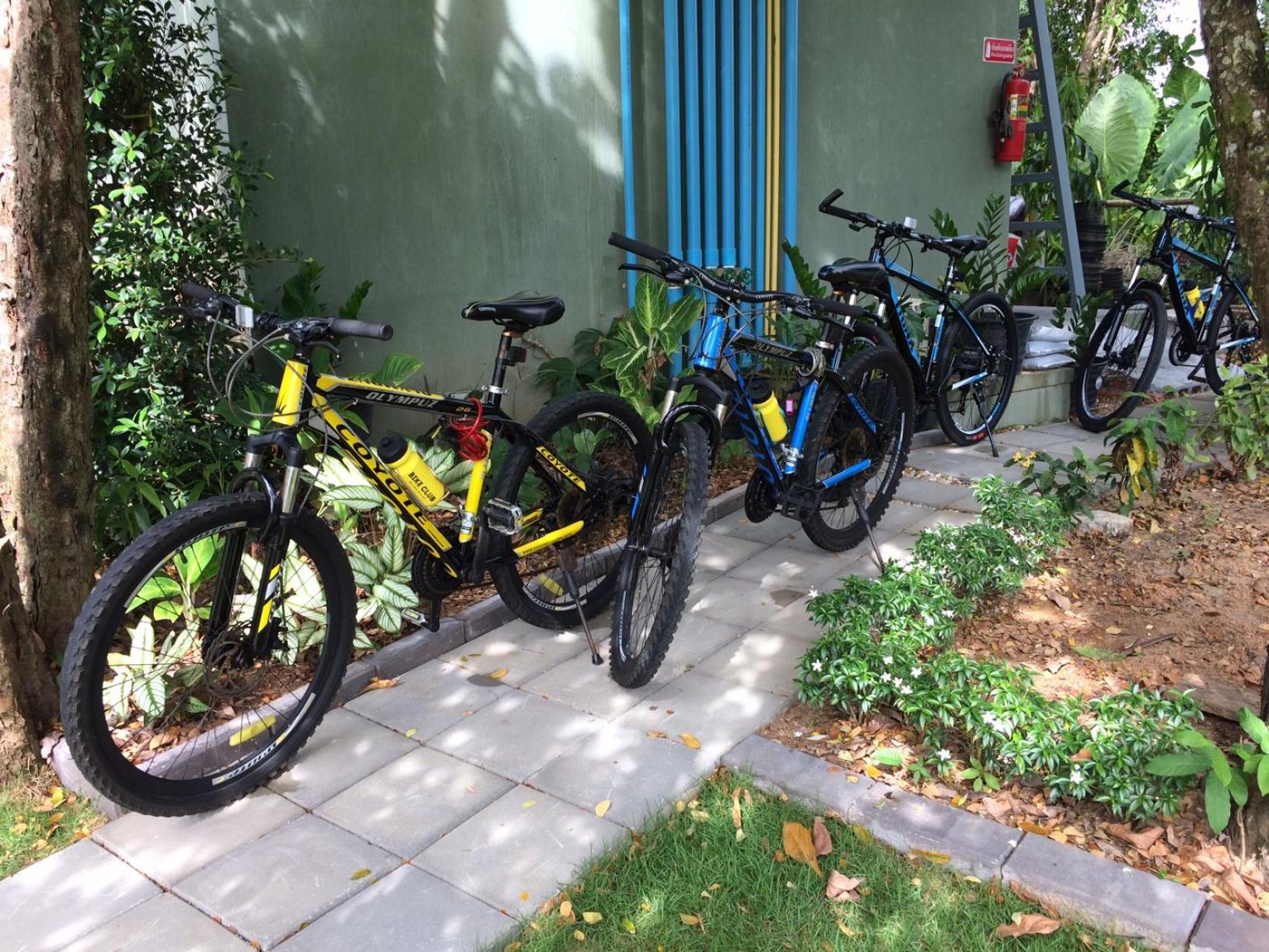 activities & amenities