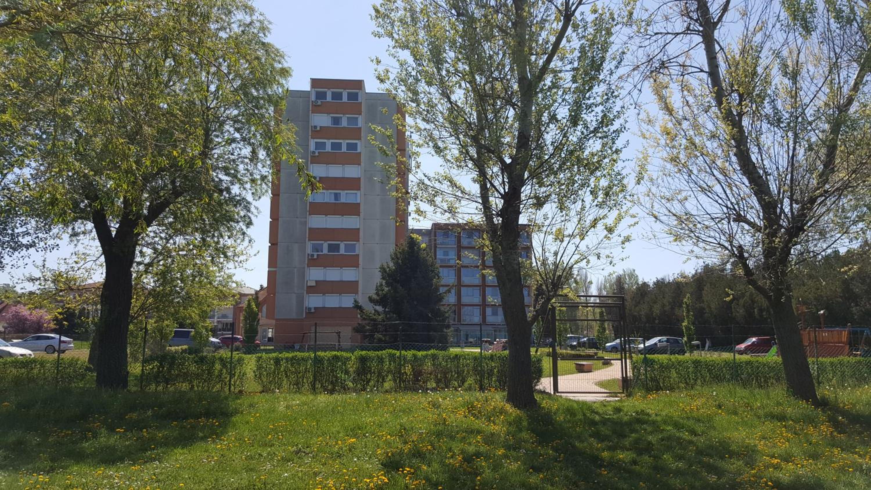 Photo 46