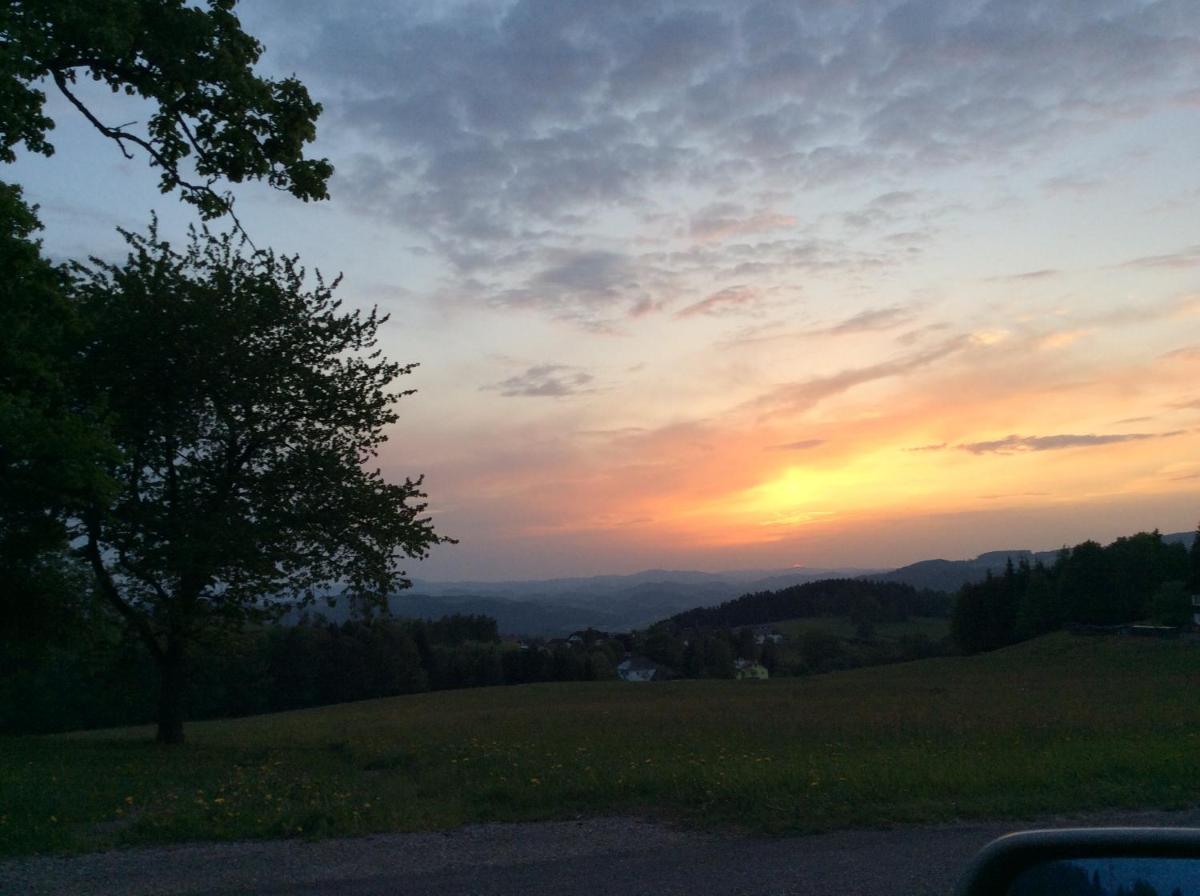 Ferienbauernhof Koller (Familie Hofer) - Urlaub am Bauernhof