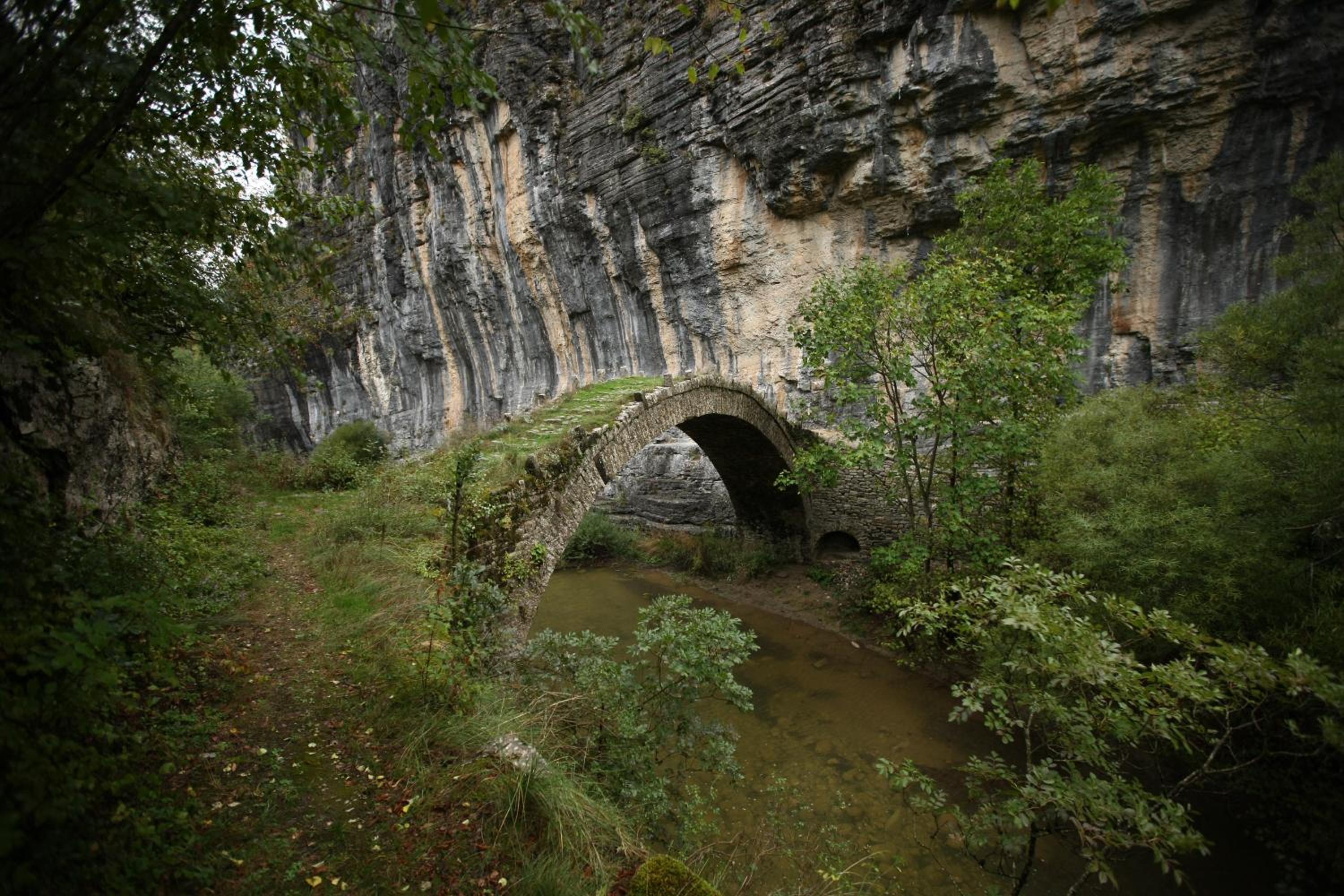 Photo 29