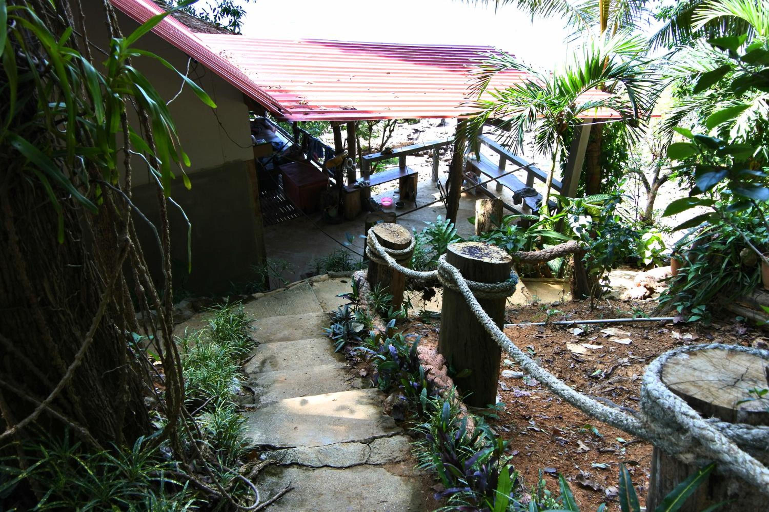 Photo 11