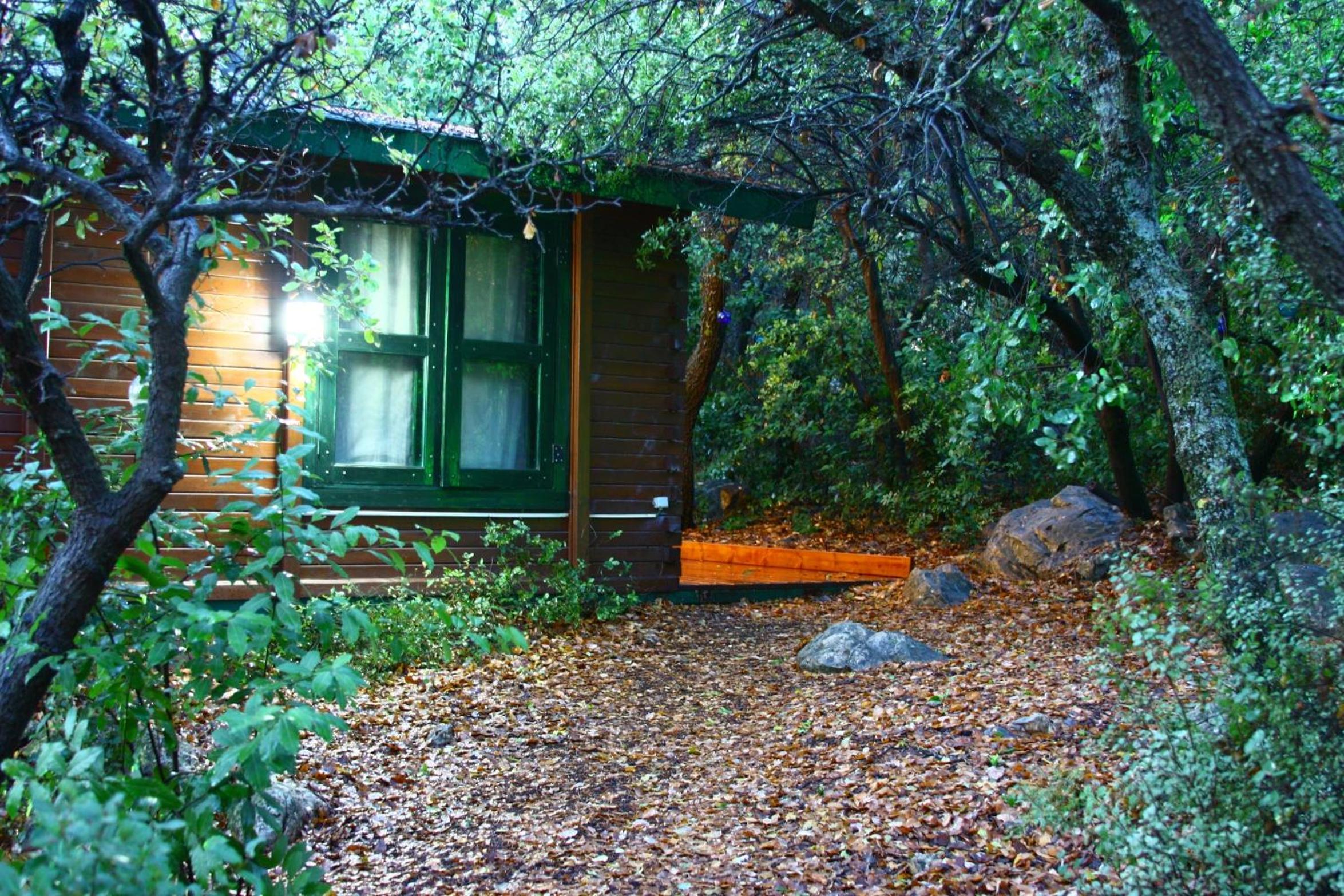 Photo 31