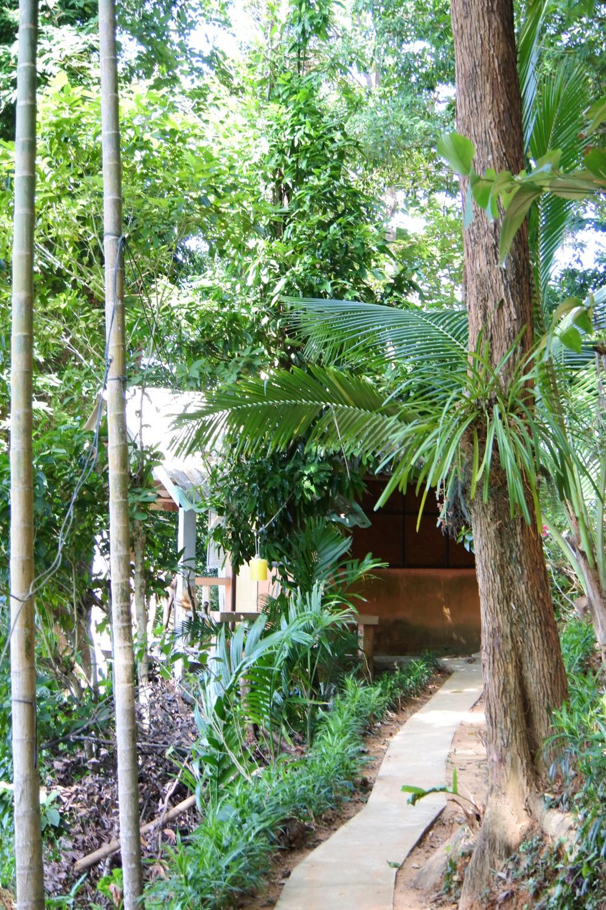 Photo 15