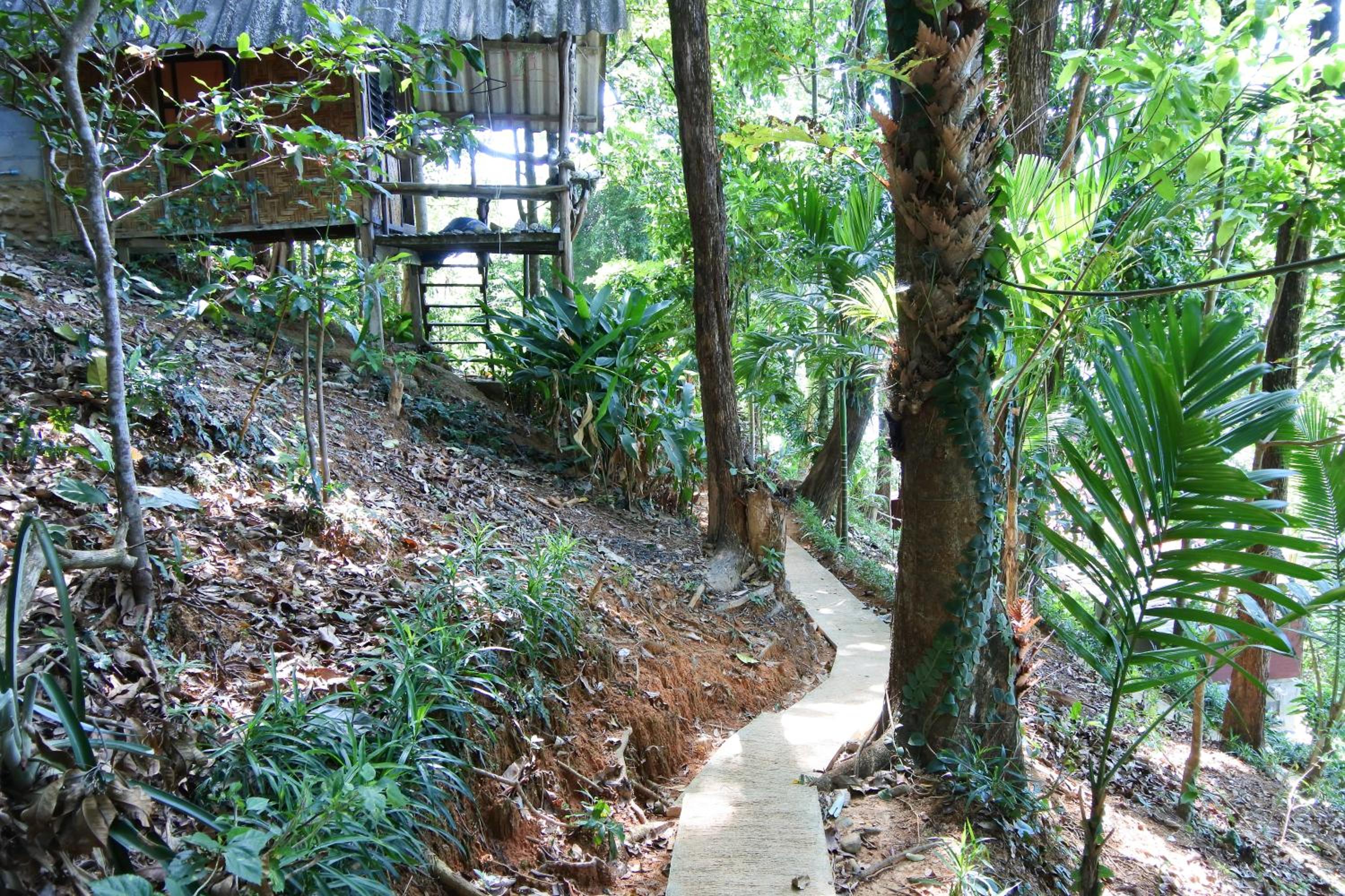 Photo 14