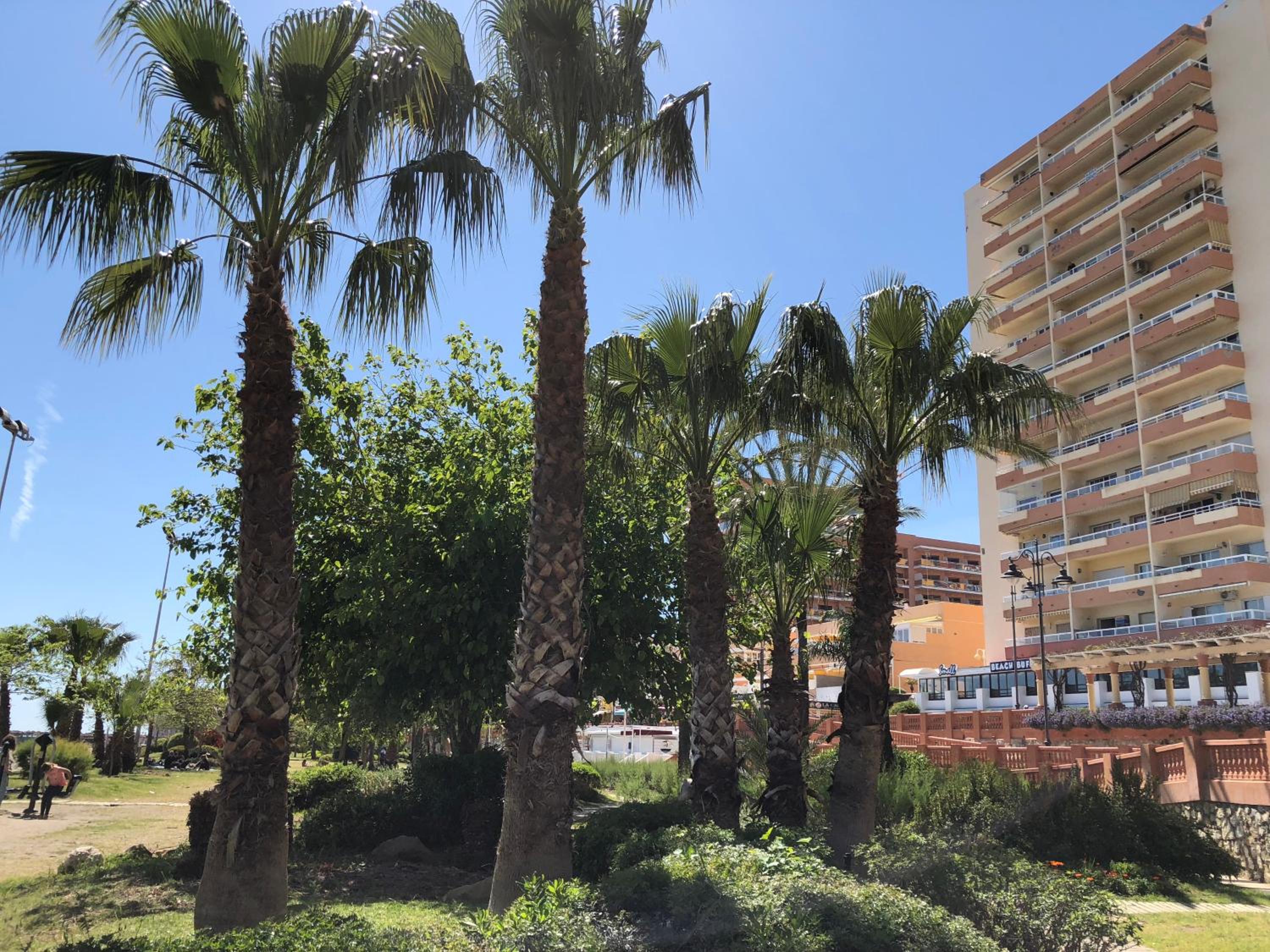 JSM Apartamentos