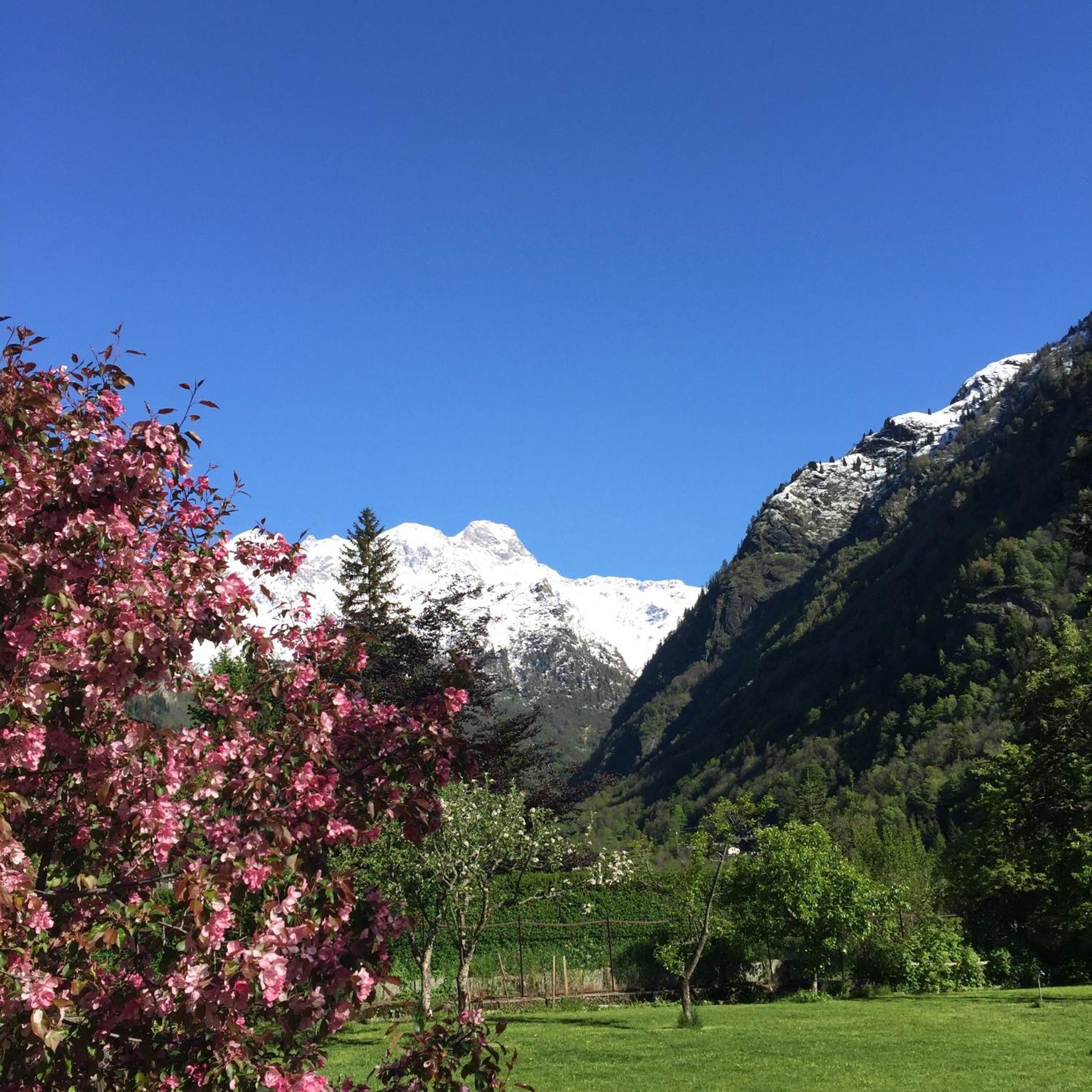 Tre Alberi Liberi view 3