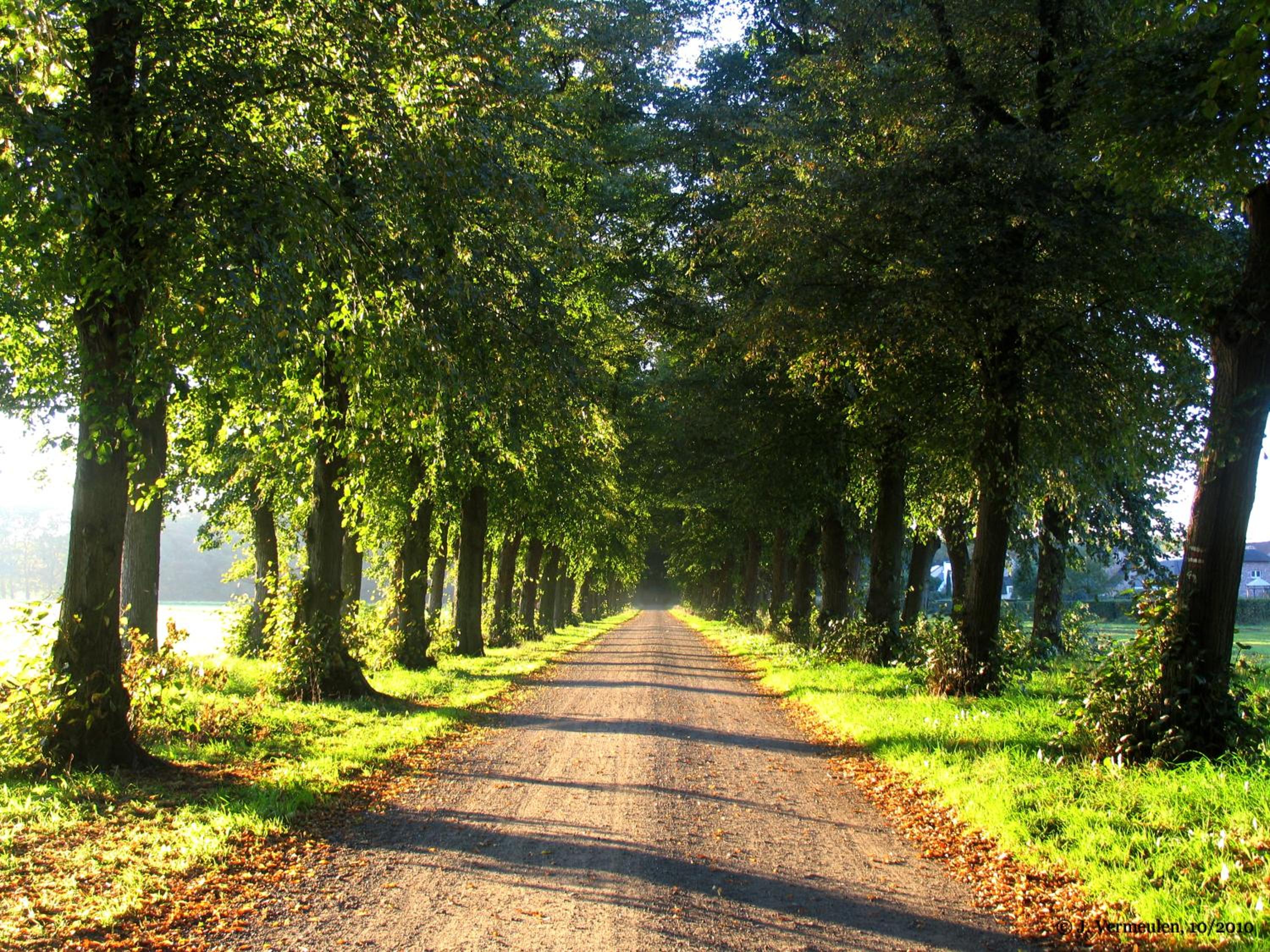 B&B Het Wouwe