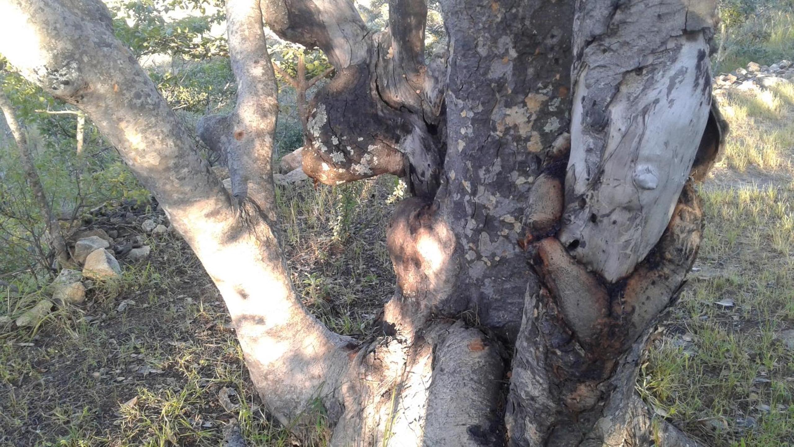 Photo 22